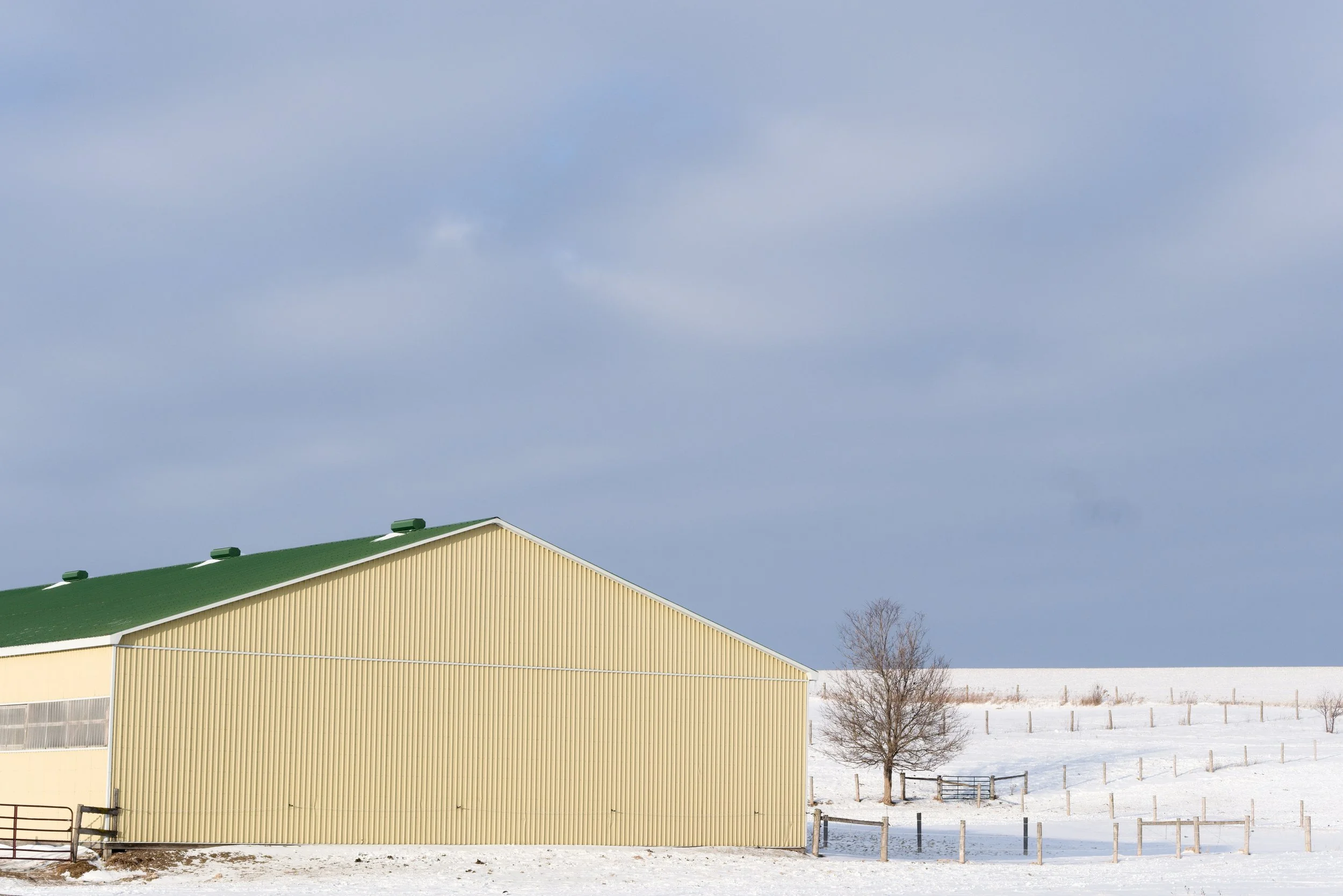 Arena, Maryhill, Ontario, 2025