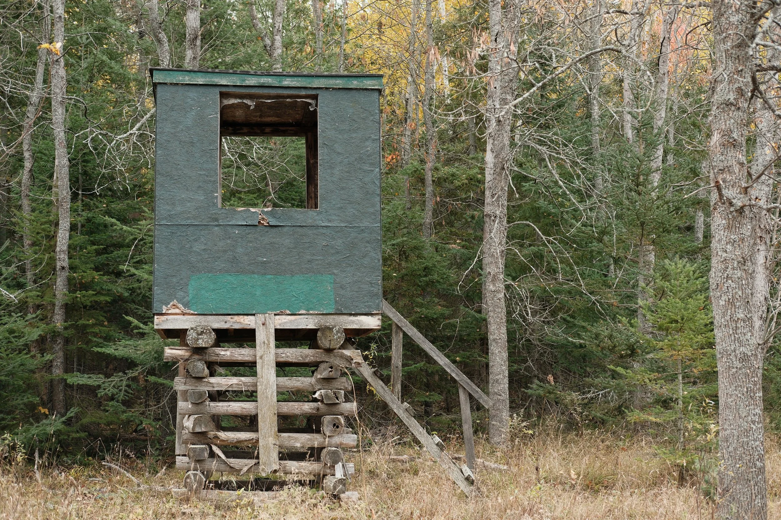 Blind, Manitoulin Island, Ontario, 2024
