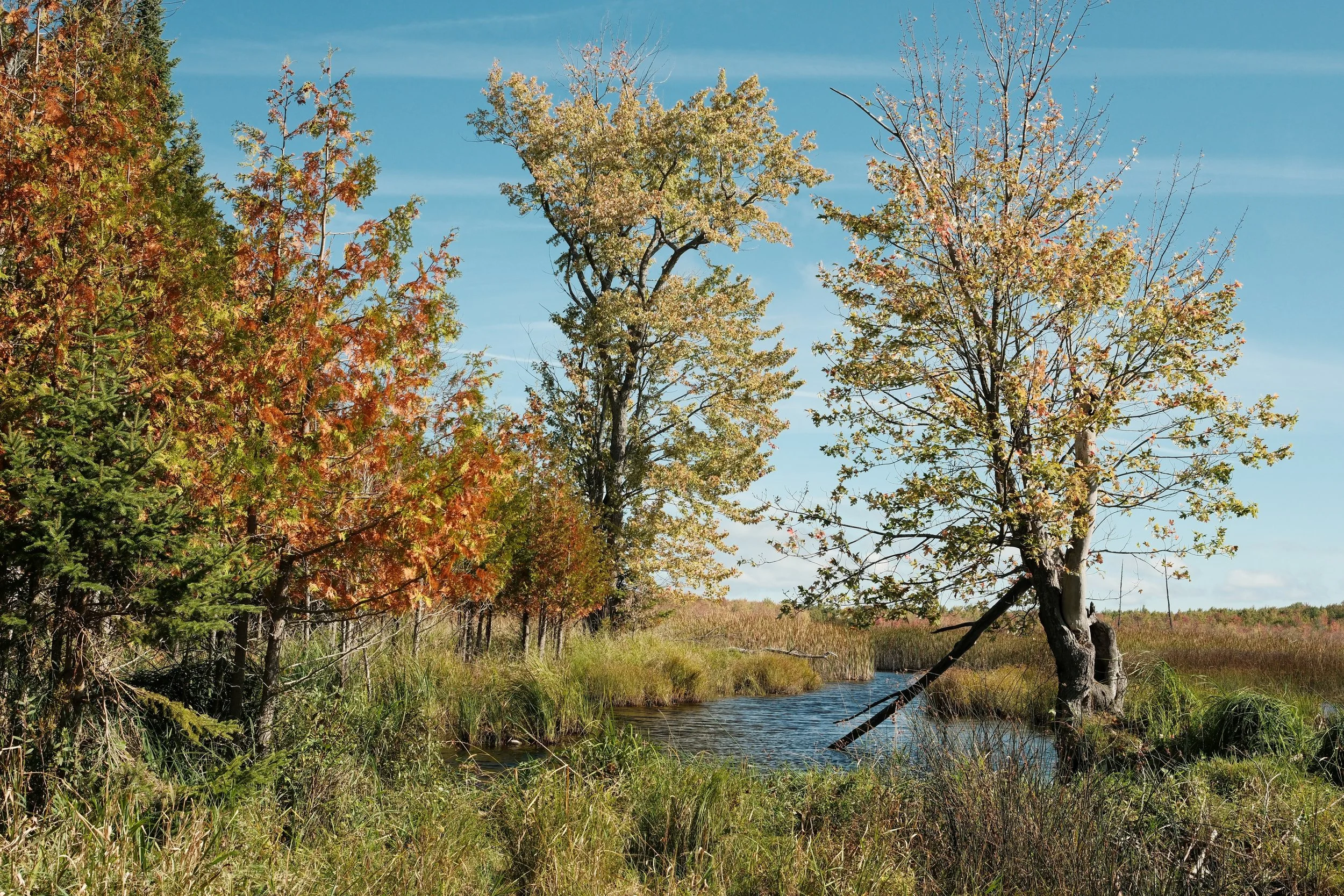 Gateway, Manitoulin Island, Ontario, 2024