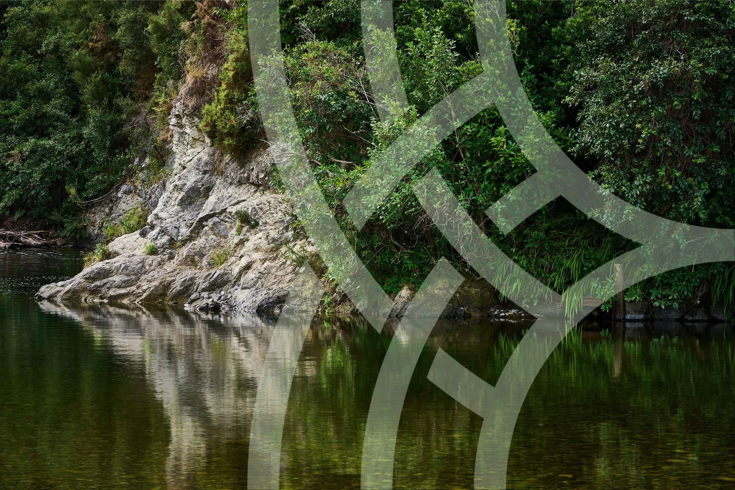 Environmental Consultants NZ | Projects & Work — The Catalyst Group