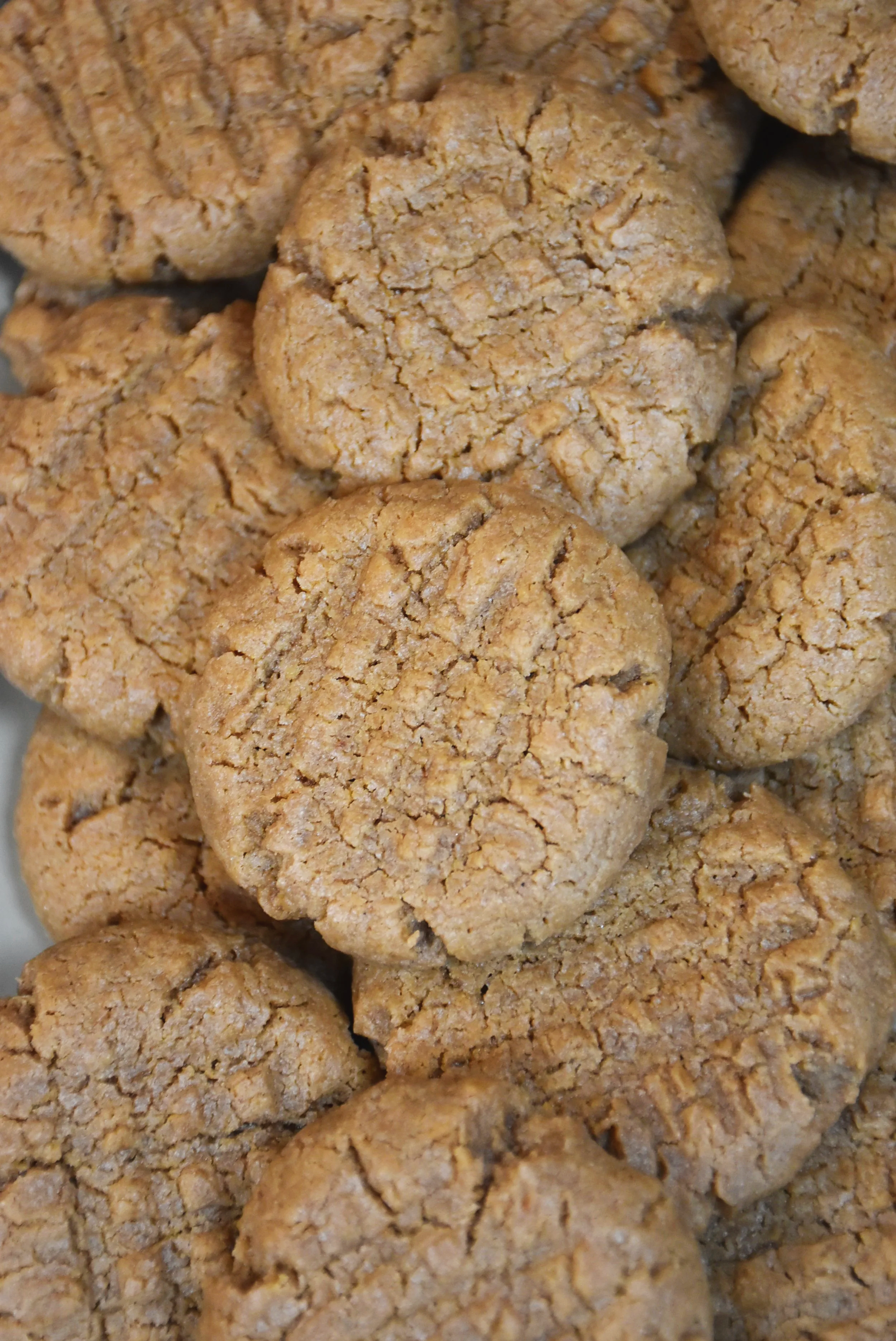 Sunflower Butter Cookies