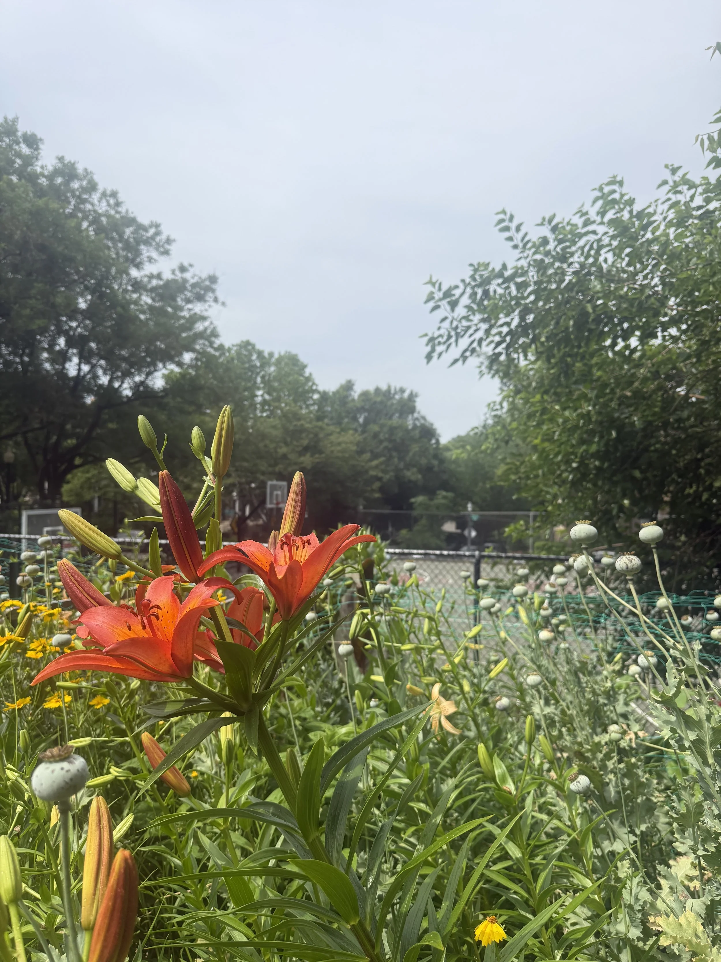 IMG_2025.jpeg