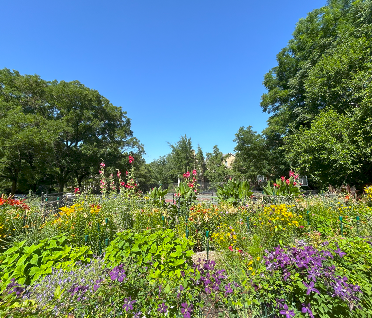 Music for the Garden