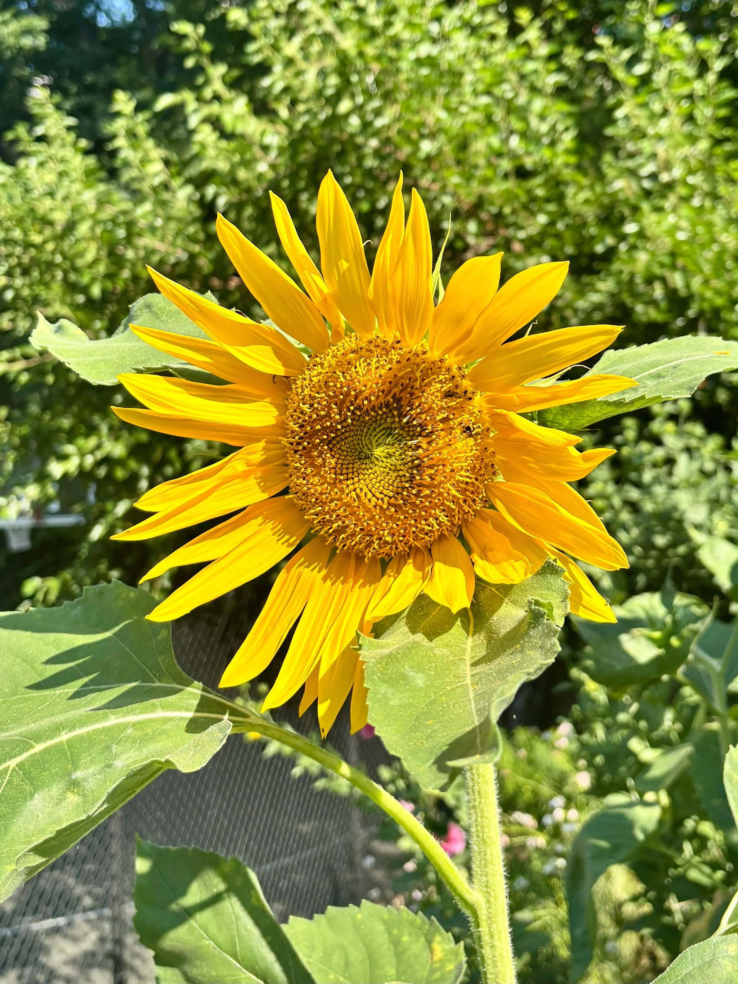 4757917c-b5c0-4b7f-9dd5-023784e7de8d.jpeg