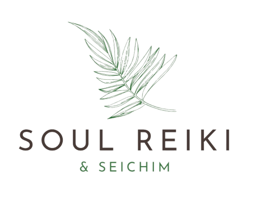 A logo with a green palm leaf, the words "SOUL REIKI" in large letters, and "& SEICHIM" below in smaller text.