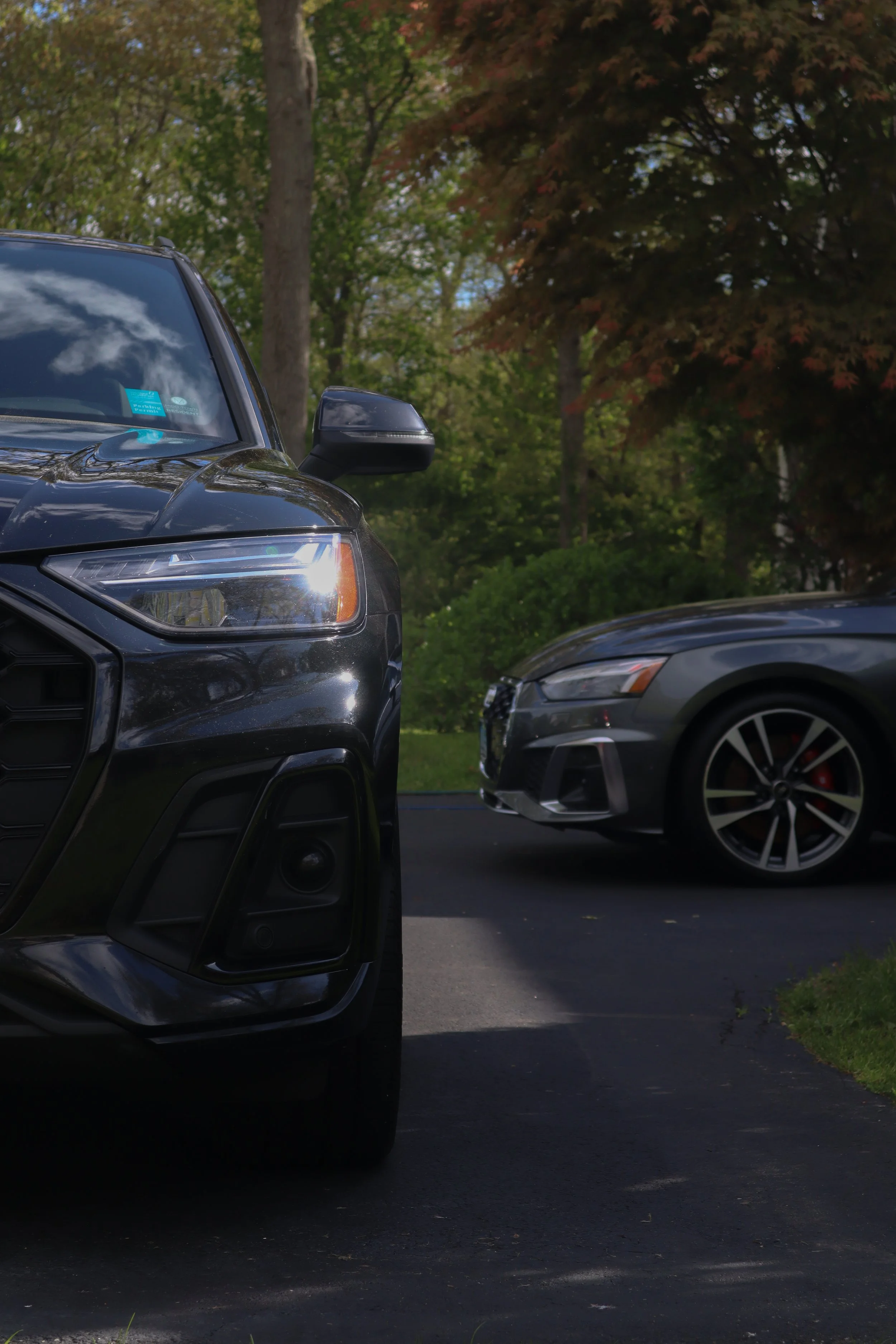 Close-up of the front sections of two parked modern cars on a driveway, with trees and greenery in the background.