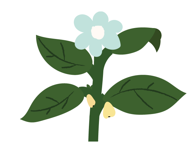 Trehaus Ecological Systems Theory