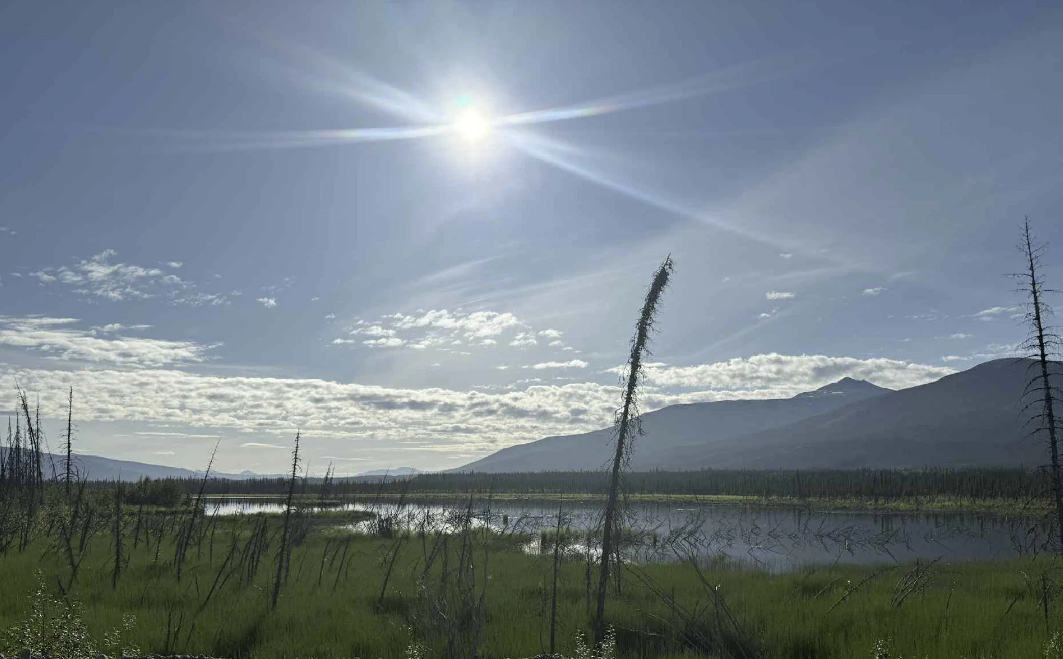 A scenic landscape featuring a bright sun in the sky with wispy clouds, a mountain range in the background, a body of water, green grass, and barren trees in the foreground.