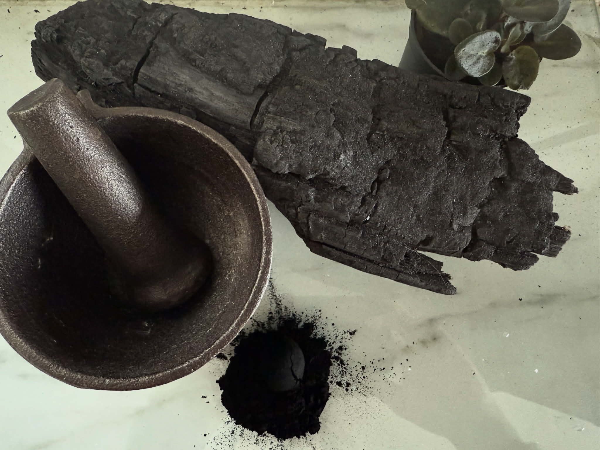 A close-up of a metal pillager, dark soil, a broken charcoal briquette, and a potted plant with green leaves.