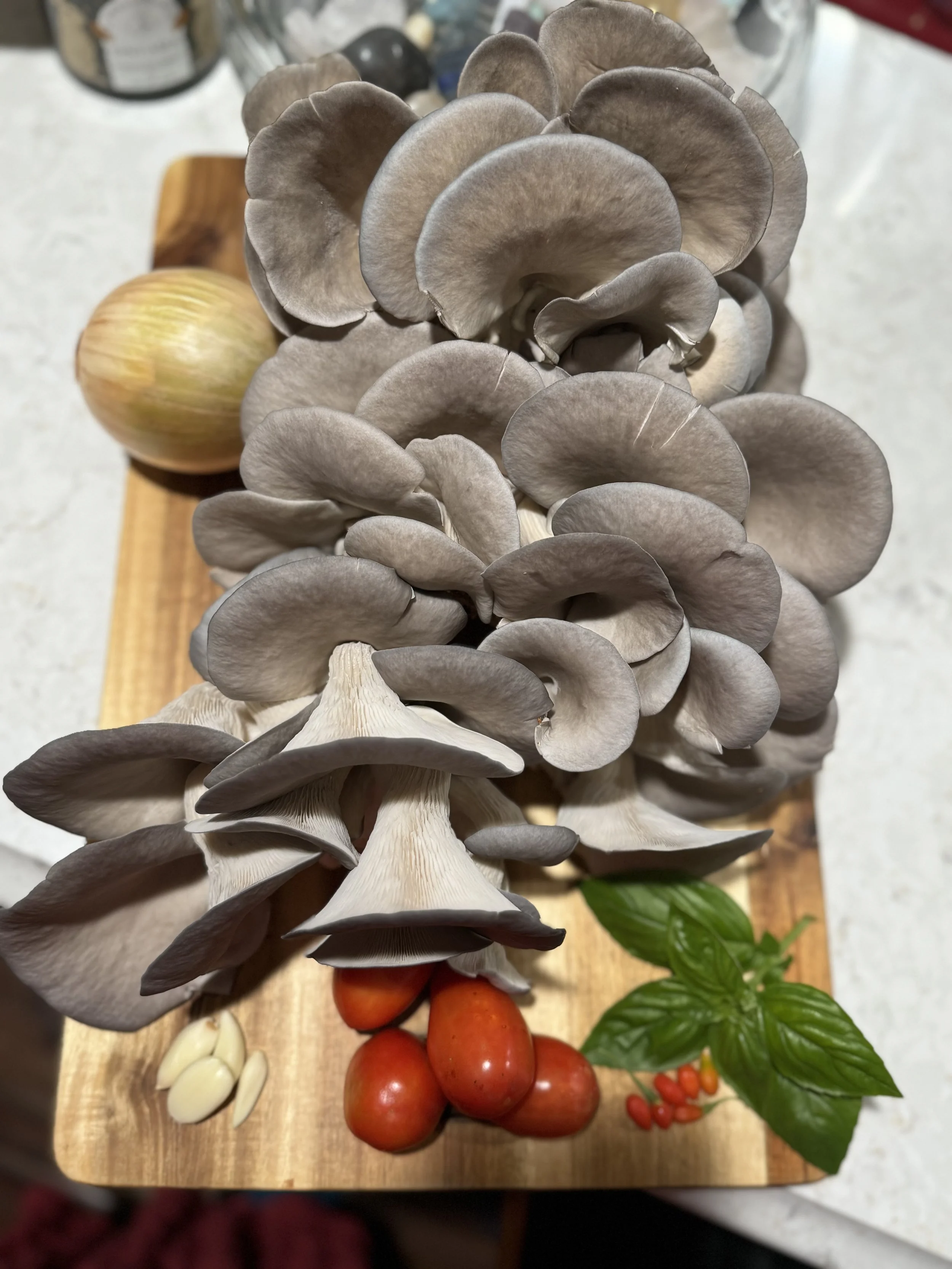A wooden cutting board with a cluster of blue oyster mushrooms, a yellow onion, three cherry tomatoes, garlic cloves, and fresh basil leaves.