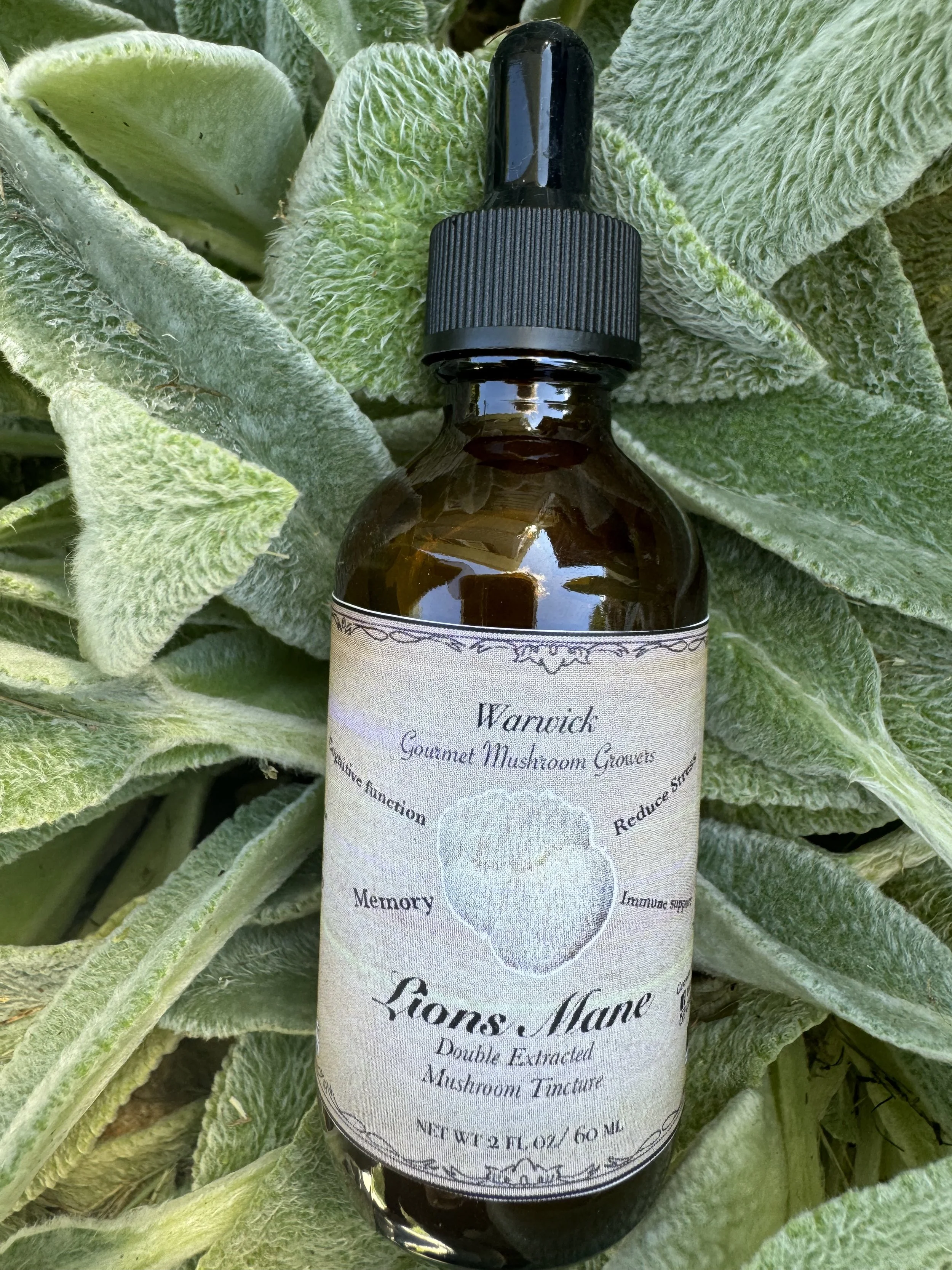 A brown glass bottle with a dropper cap, labeled 'Warwick Gourmet Mushroom Growers Lion's Mane Double Extracted Mushroom Tincture,' set among fuzzy green leaves.