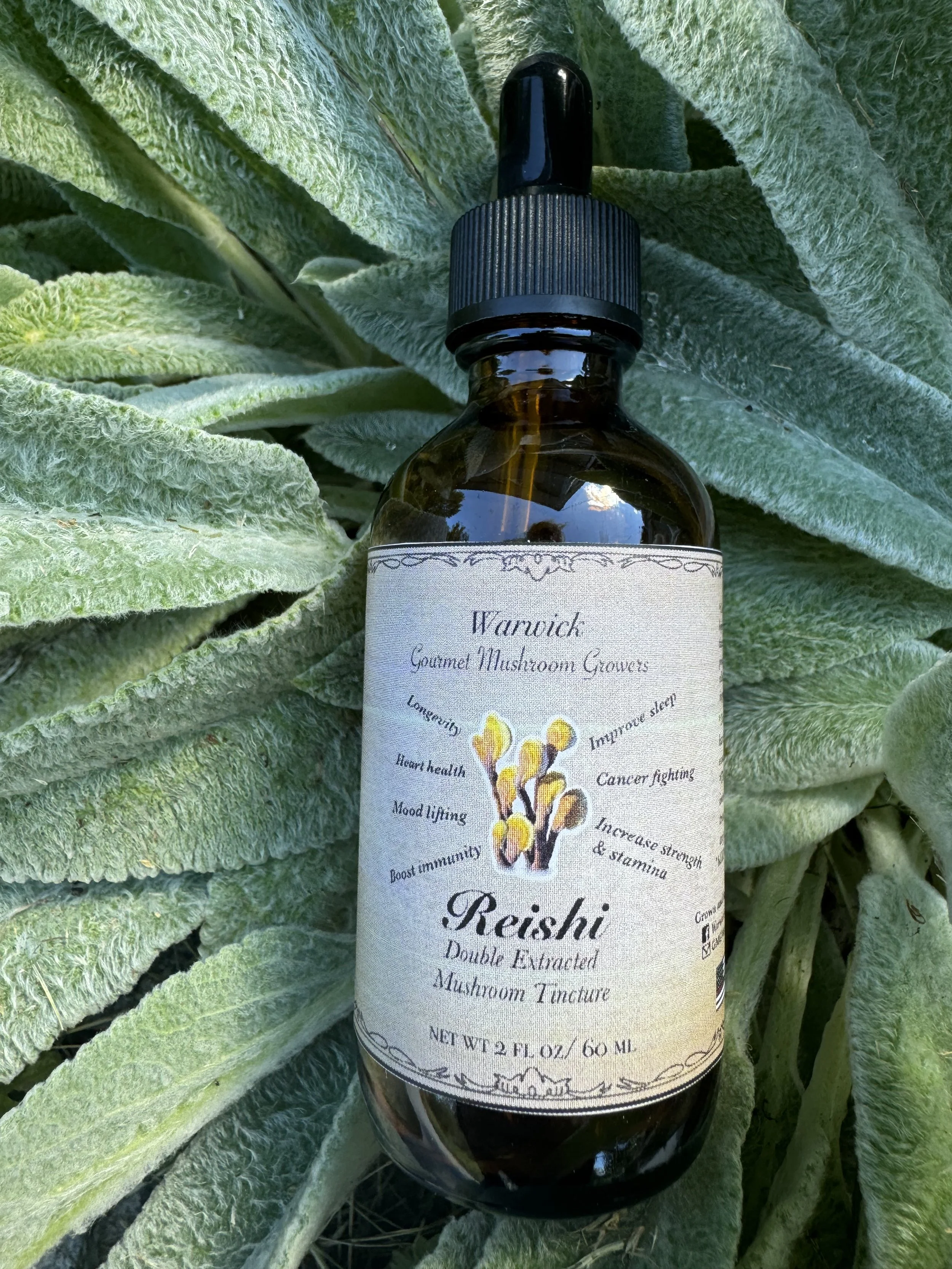 A brown glass bottle with a dropper cap labeled 'Reishi Double Extracted Mushroom Tincture' from Warwick Gourmet Mushroom Growers, placed on large green, fuzzy leaves.