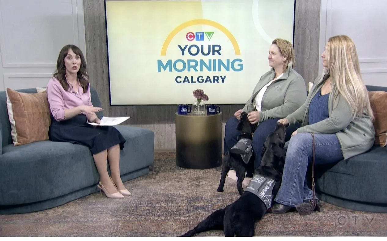 IAAD in the Limelight