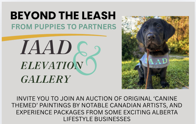 Beyond the Leash - From Puppies to Partners