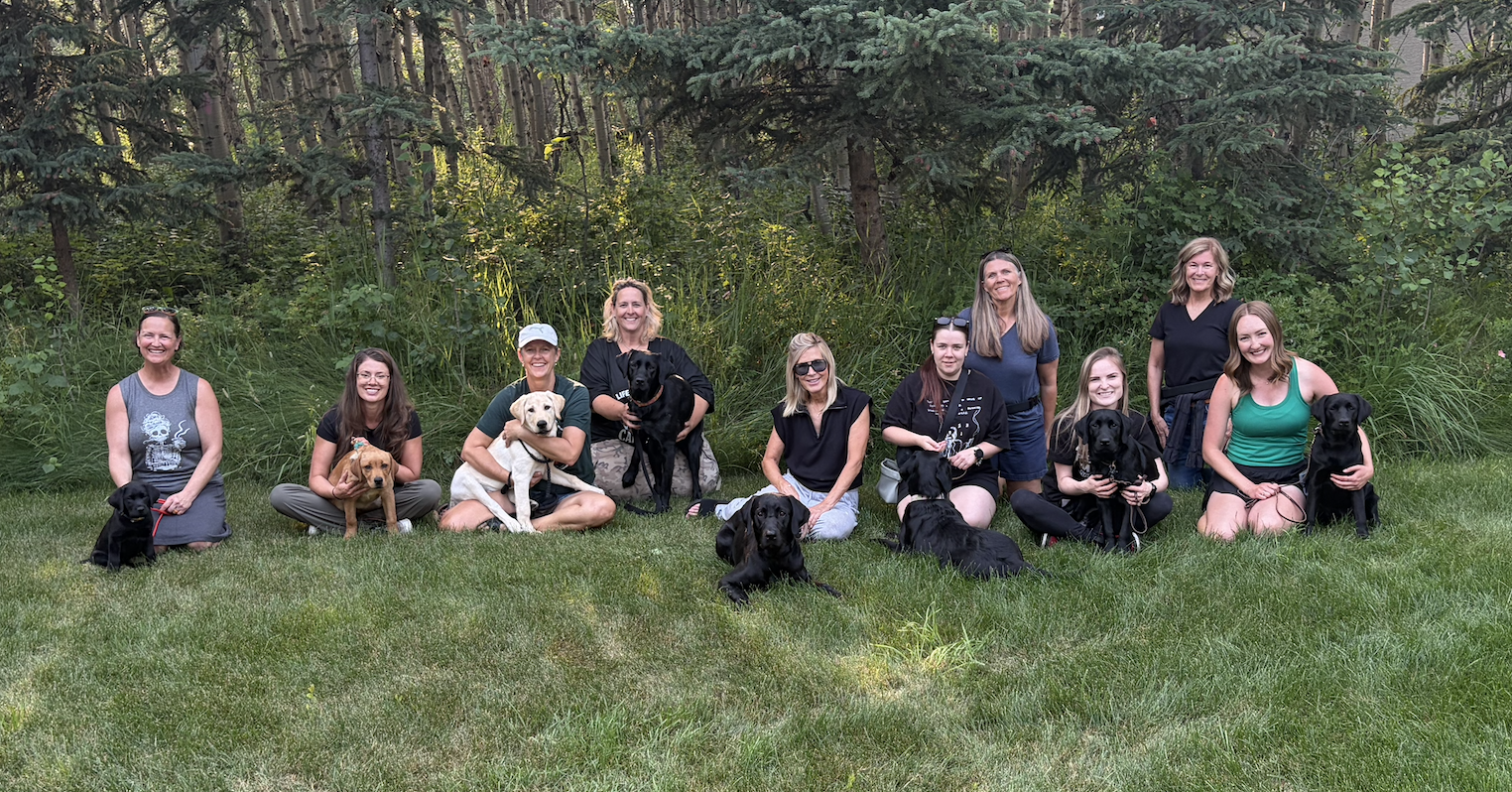 20 Puppies in Training - Another Milestone