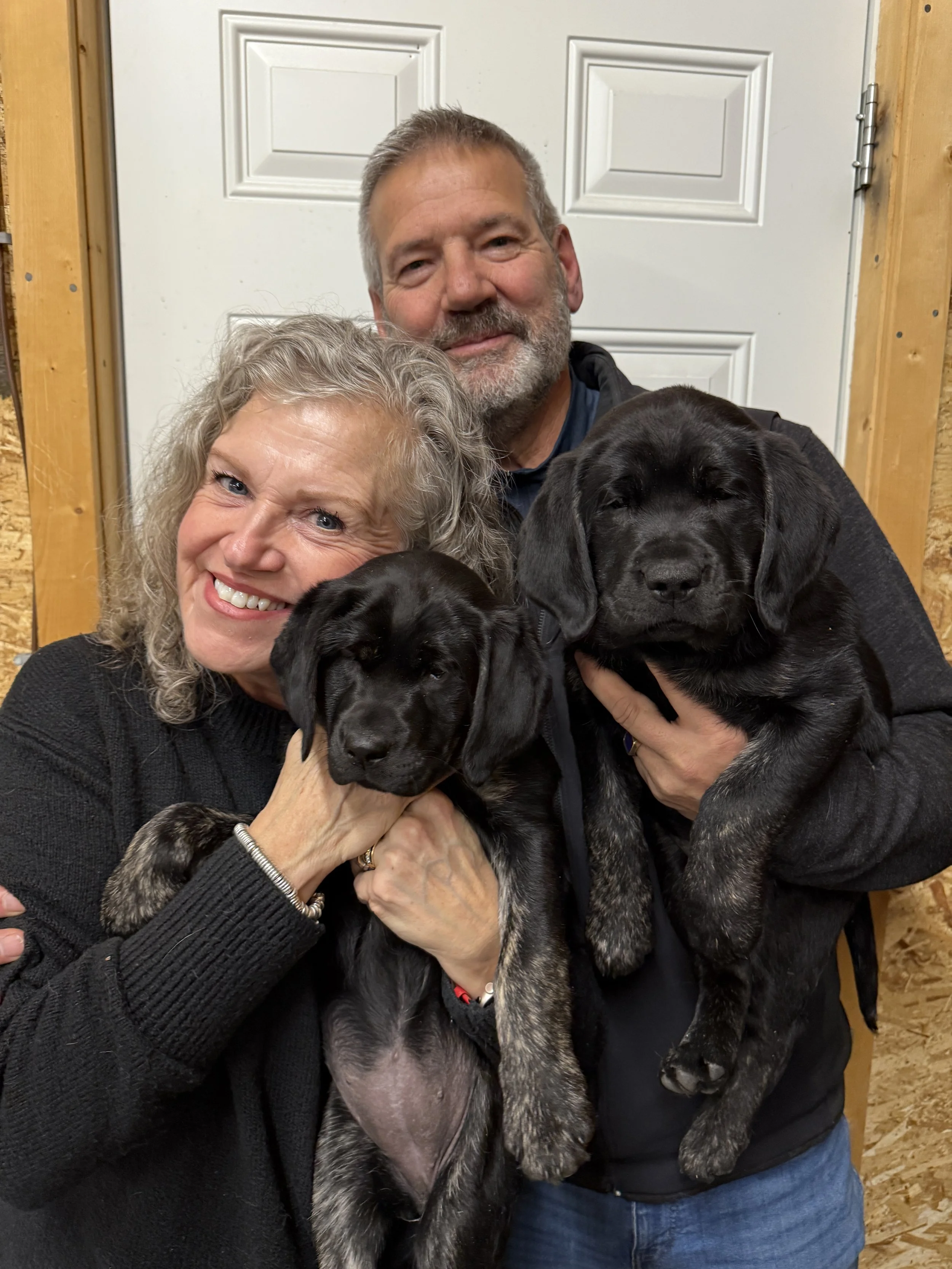 Two IAAD assistance dog puppies being held by volunteers during their early training journey.