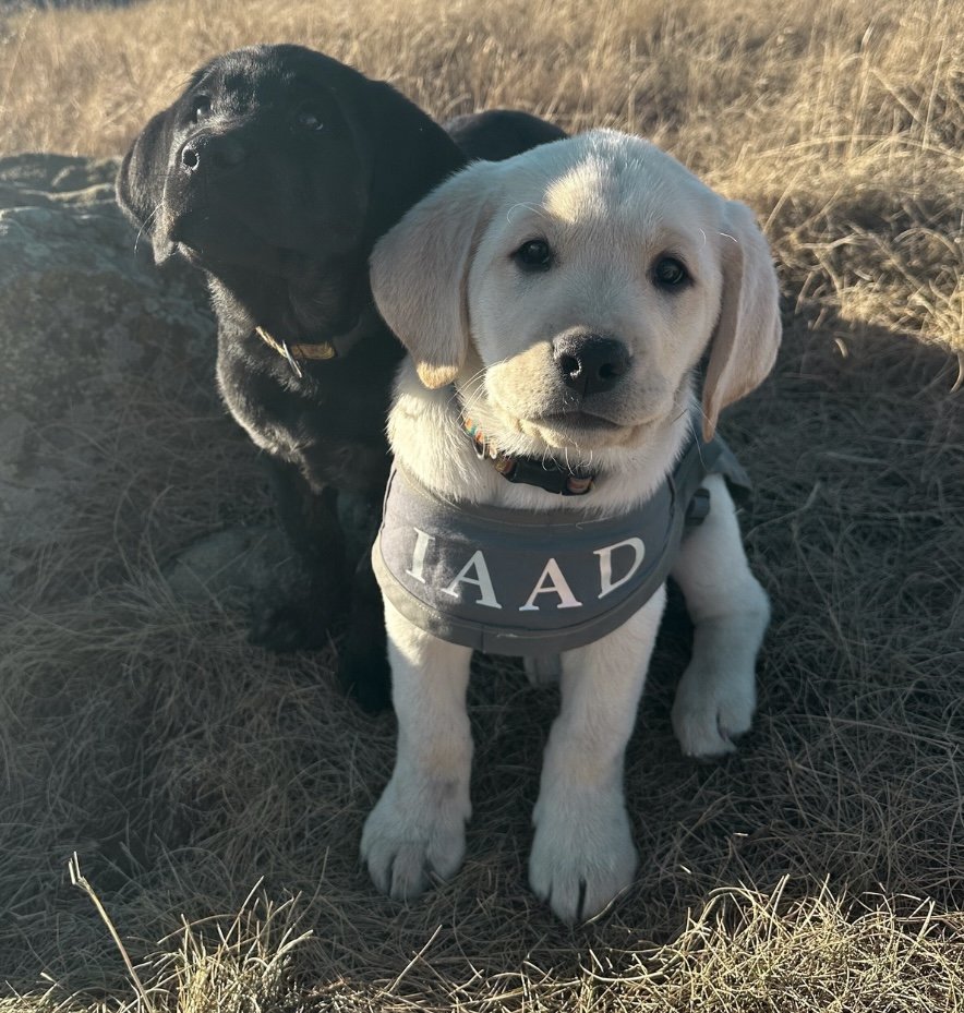 Social Media DAD (1).jpeg