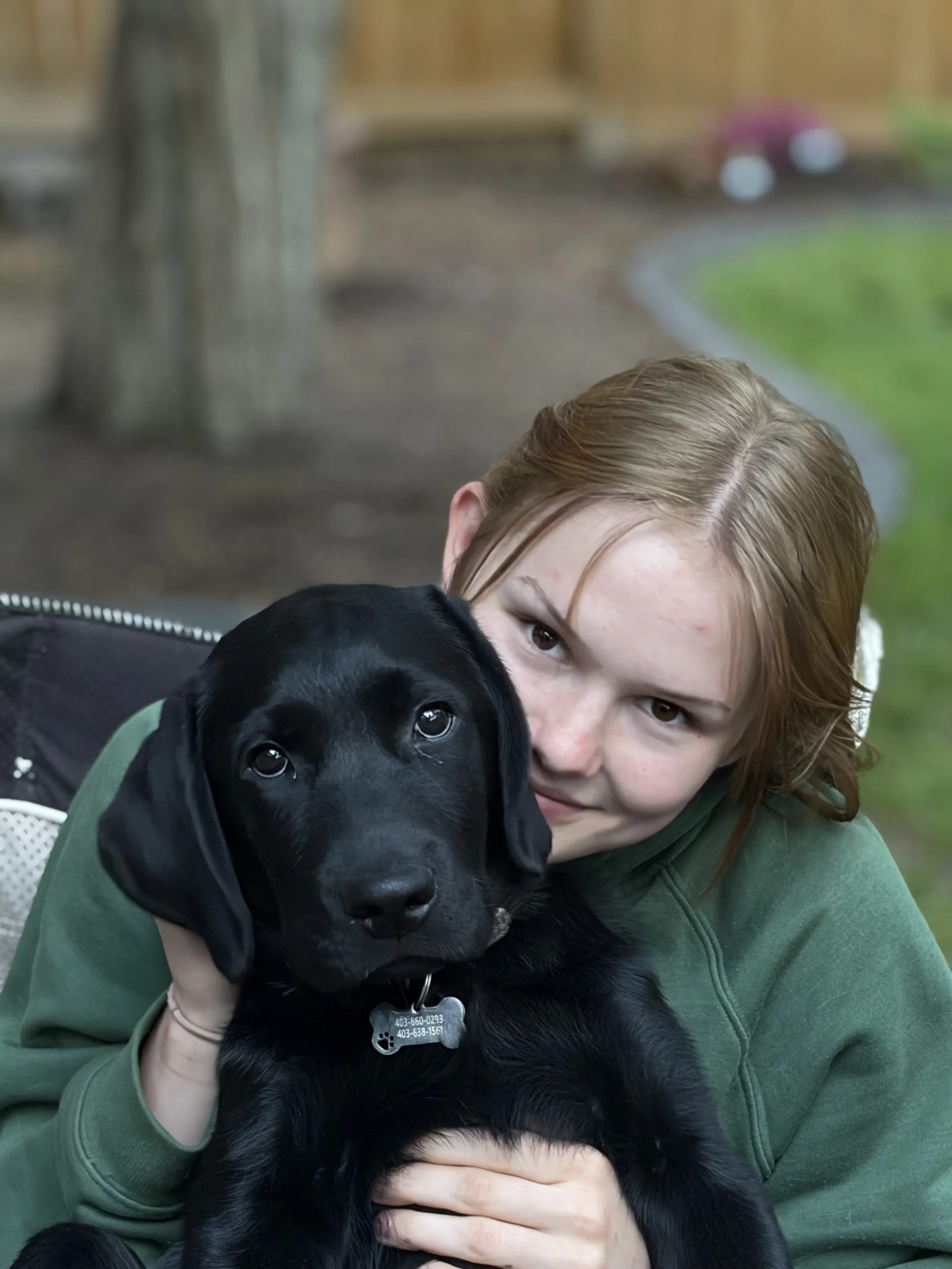 IAAD volunteer holding a black Labrador Retriever assistance dog puppy outdoors.