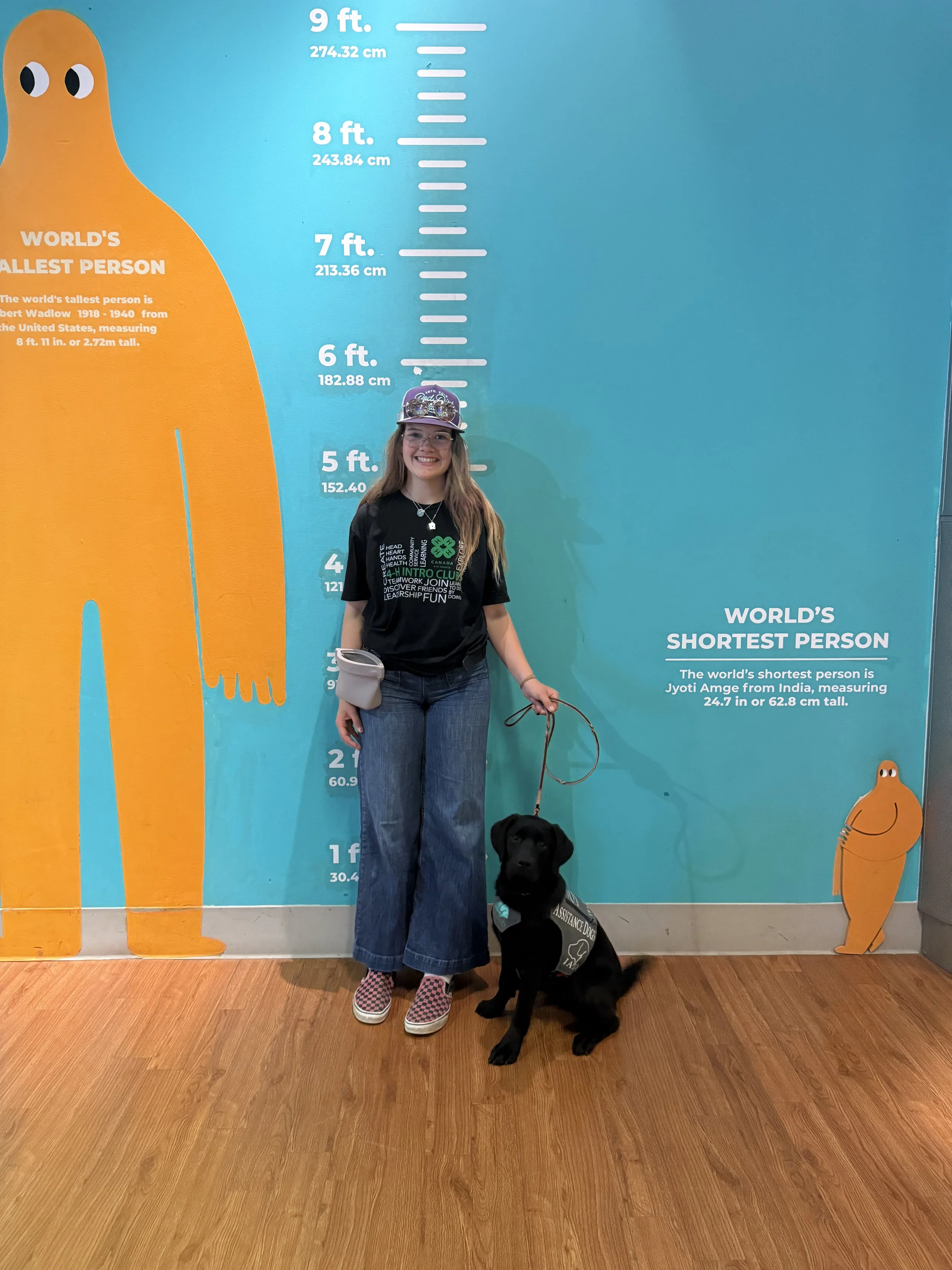 IAAD assistance dog with handler during a public access outing.