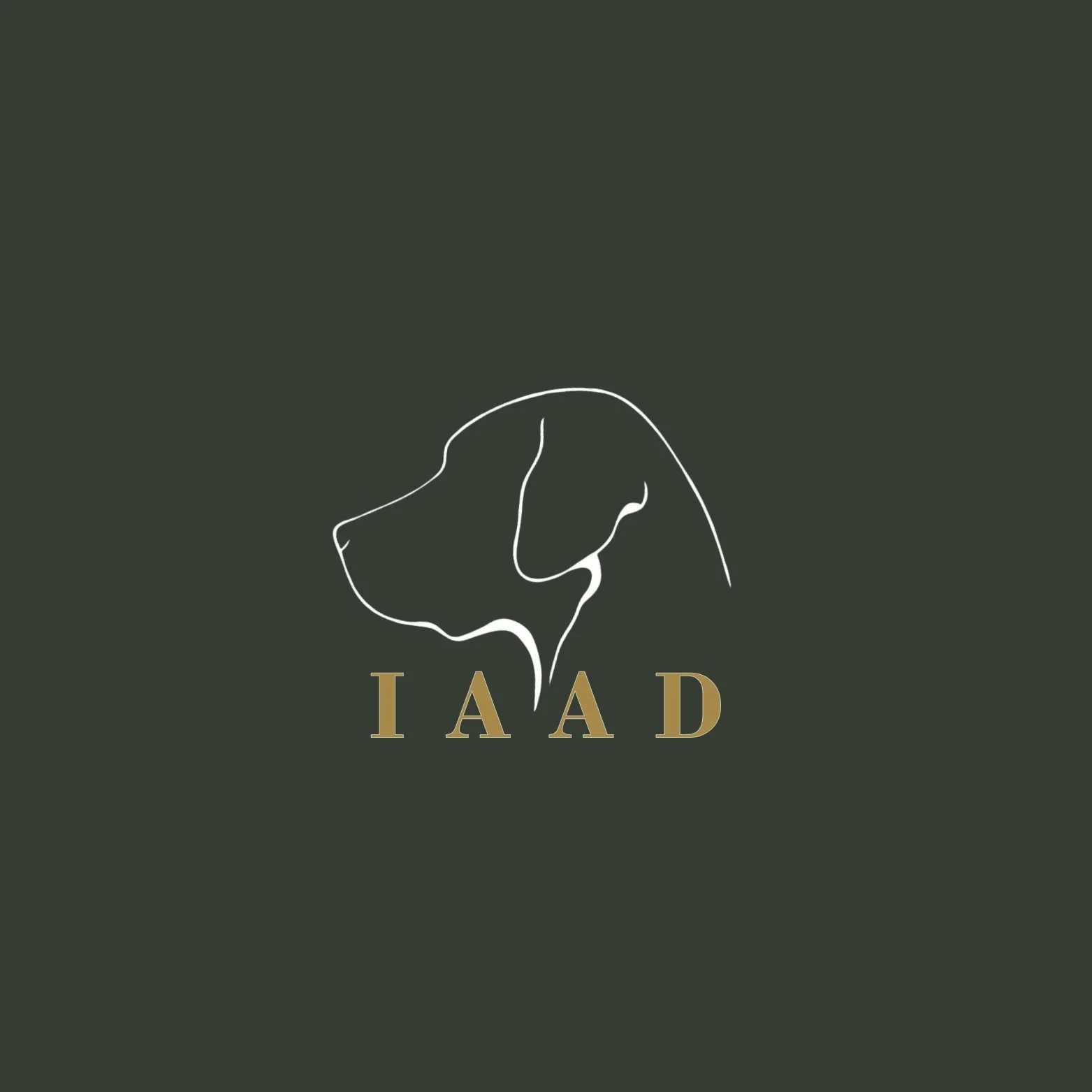 Icon IAAD.jpg