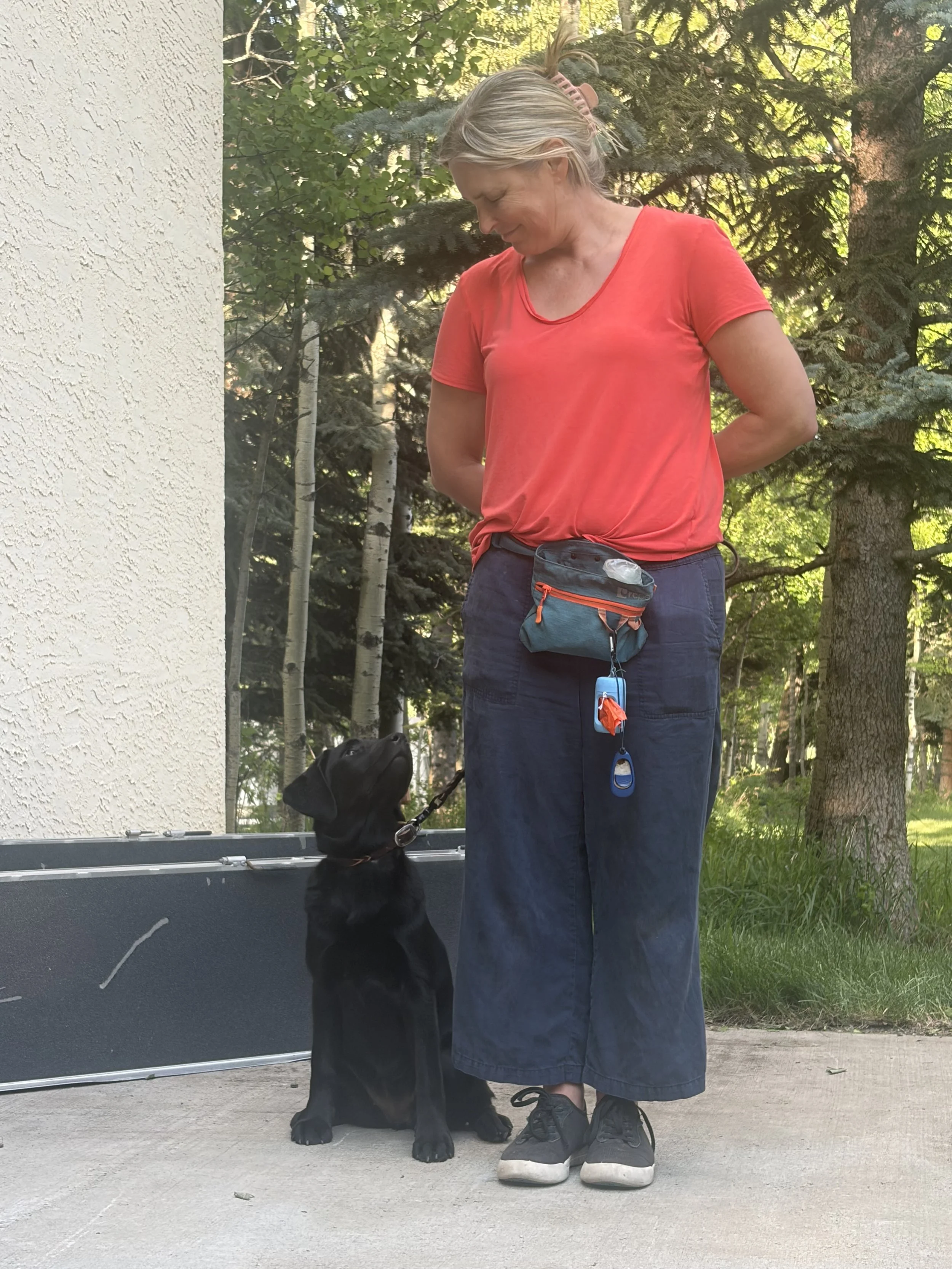Black Labrador Retriever assistance dog puppy practicing focus with an IAAD volunteer outdoors.