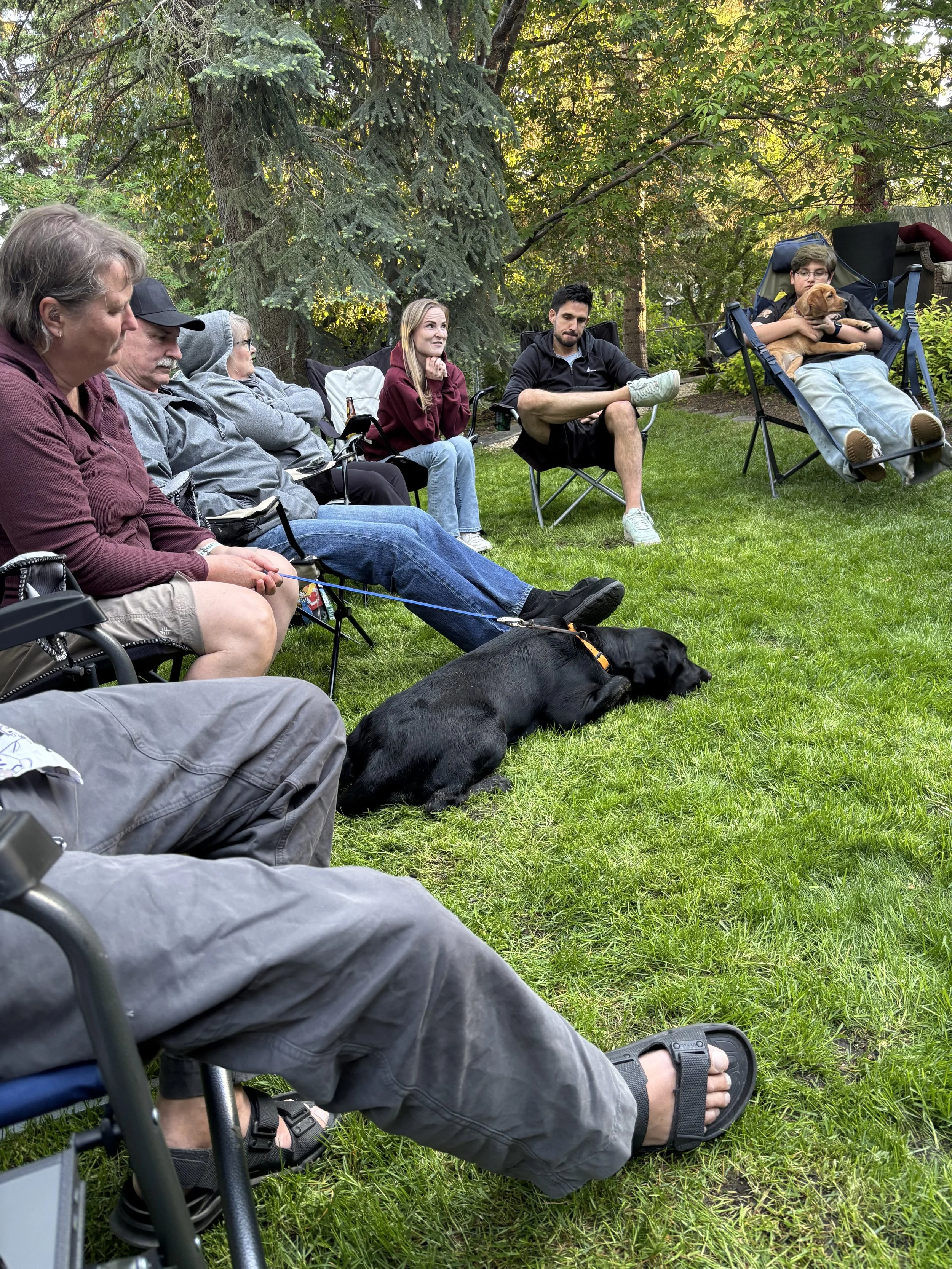 IAAD assistance dog handlers and puppies gathered outdoors for training and socialization.