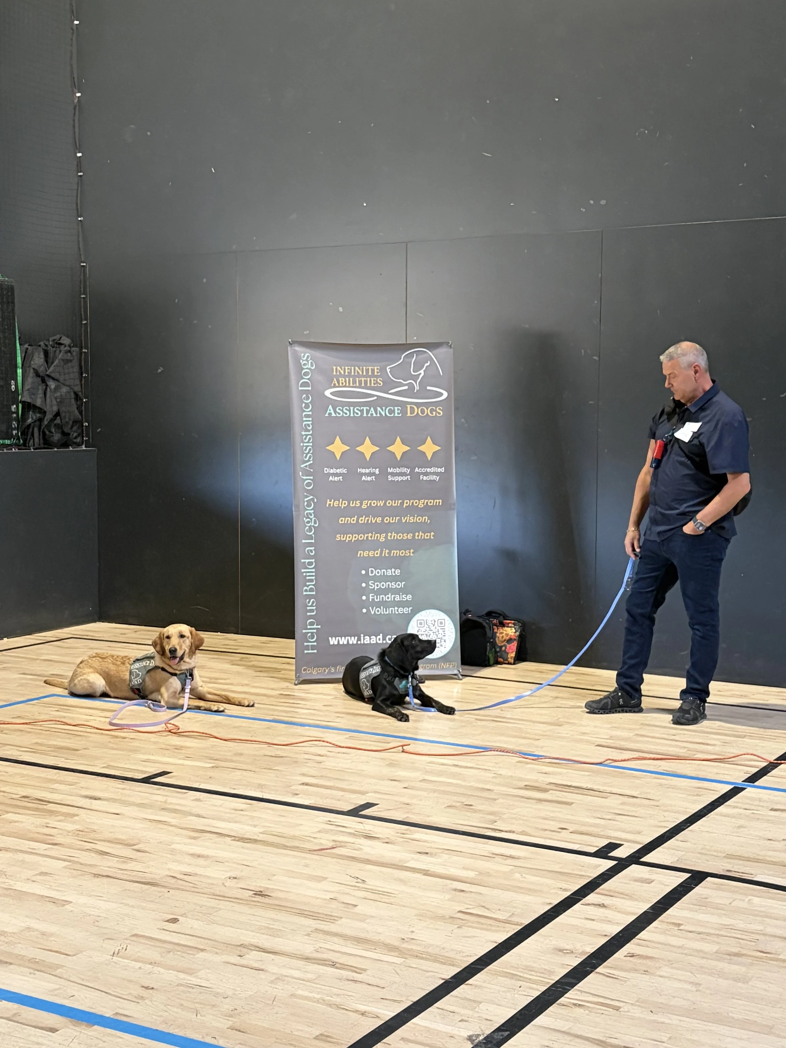 IAAD assistance dogs demonstrating their training during a community presentation.