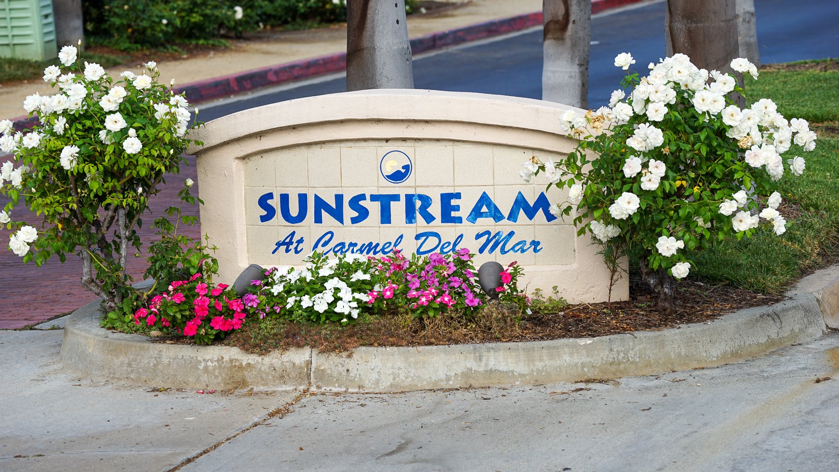 20220805-Sunstream_08548.jpg