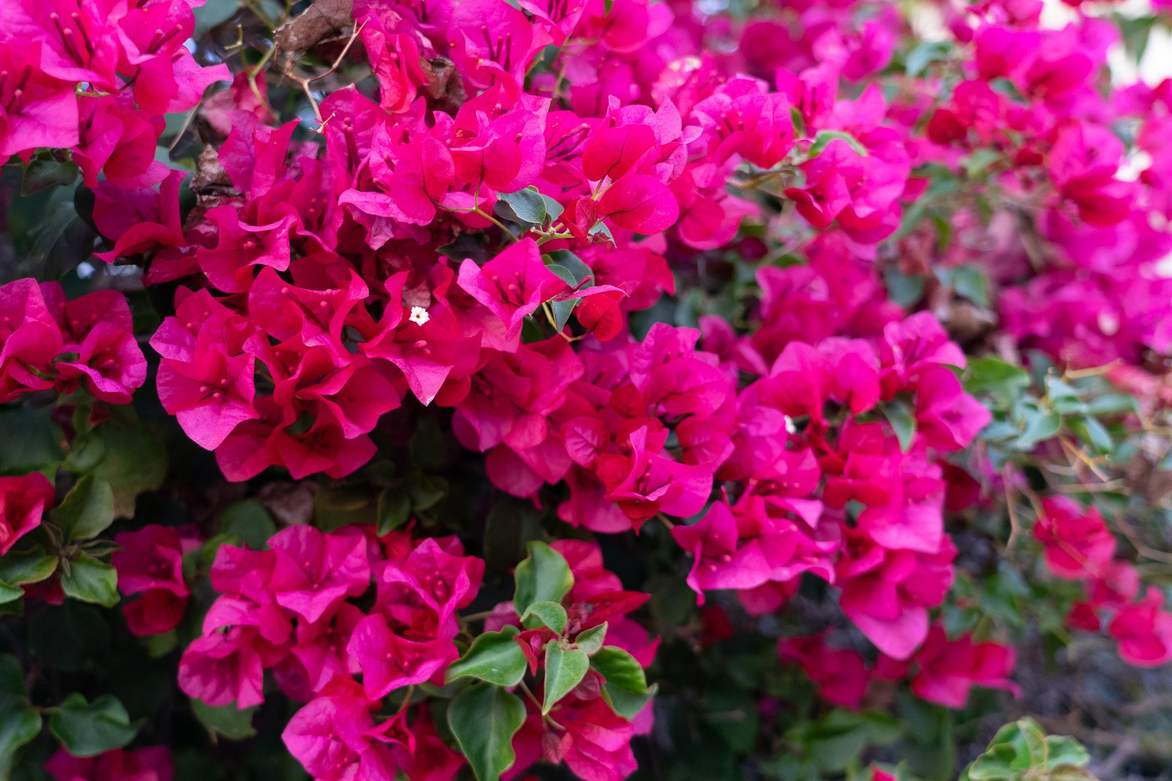 20230210-DSC09508.jpg