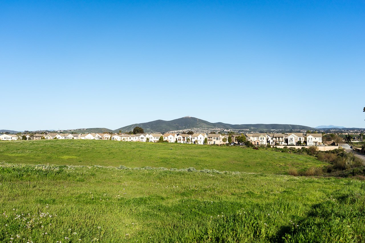 20230215-DSC09574.jpg