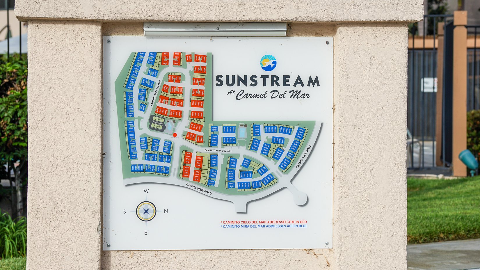 20220805-Sunstream_08559.jpg