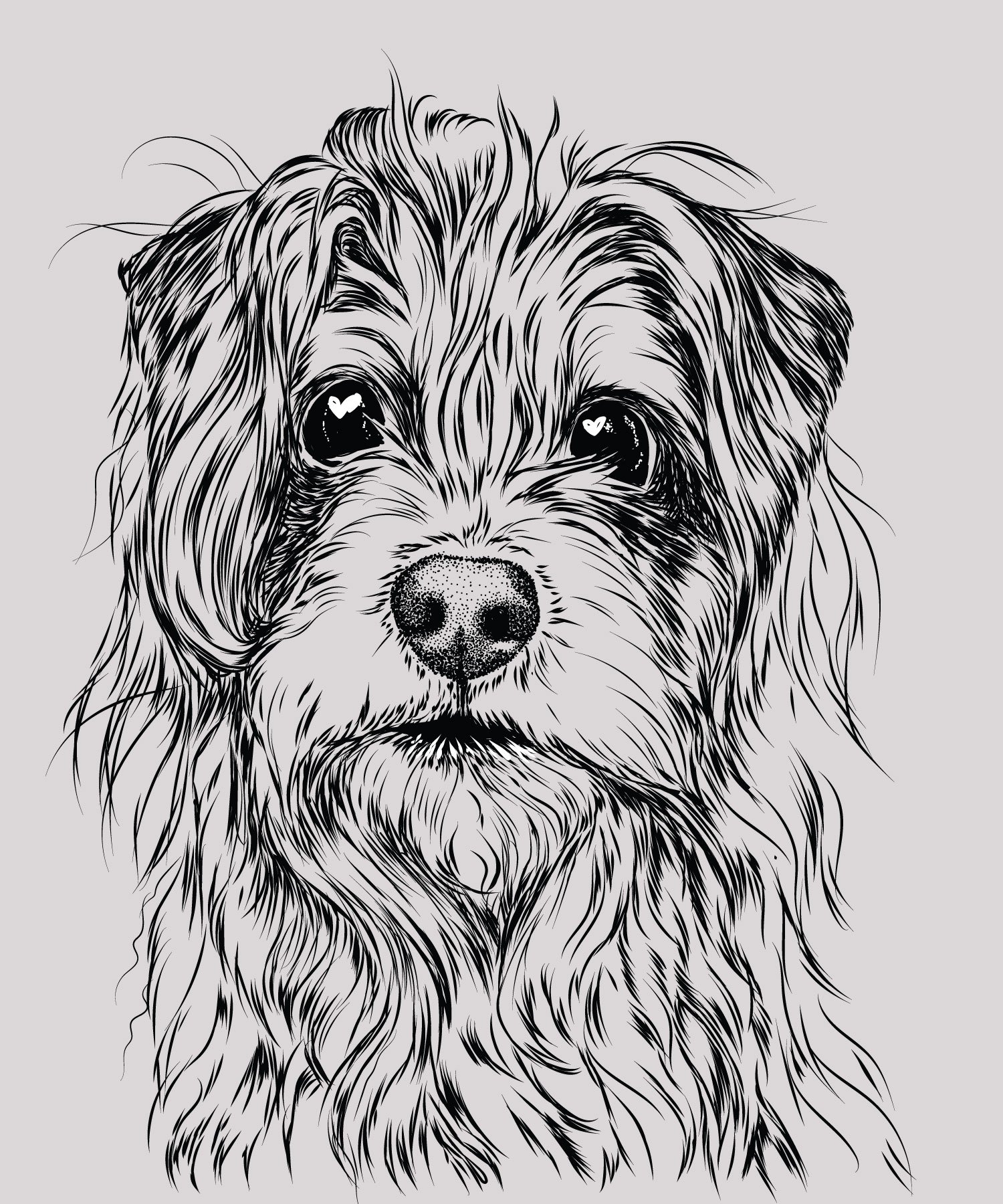 Contest-Chester-Rescue.jpg