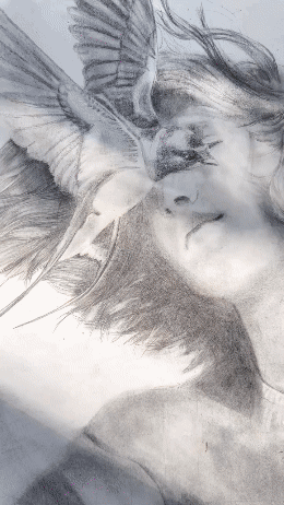 7442c0dc2d484808903fa3a3ea427c3d.gif