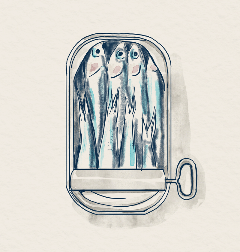 00_Sardines.png