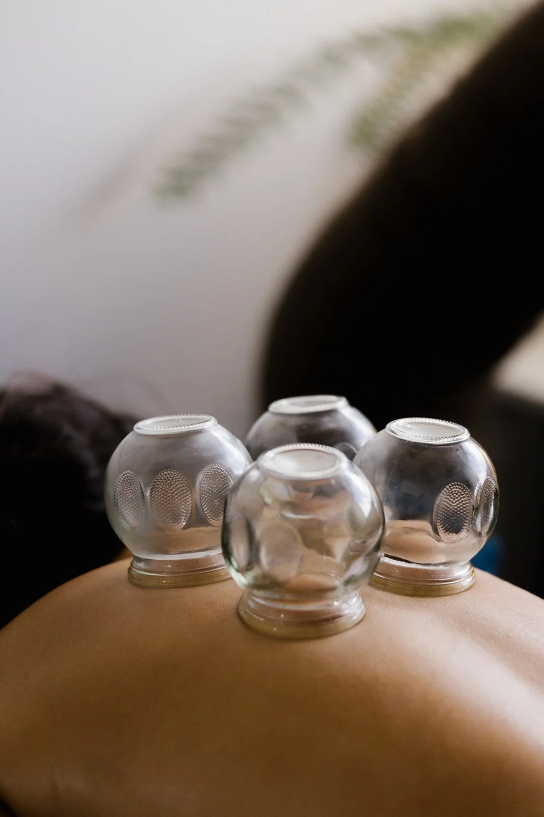 Ml Botanics - Clinic-208.jpg