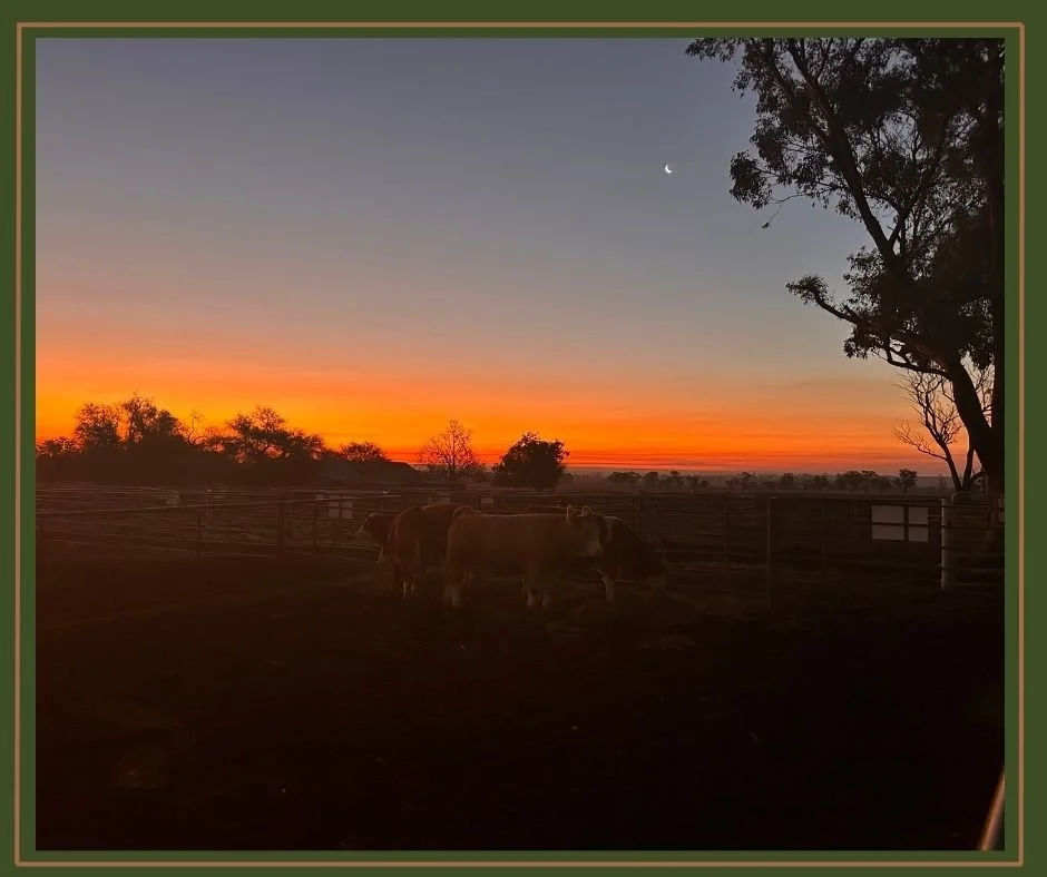 We have some of the best views when we are onsite at an event.

Need mobile catering? Hit us up!
www.marbullcatering.com