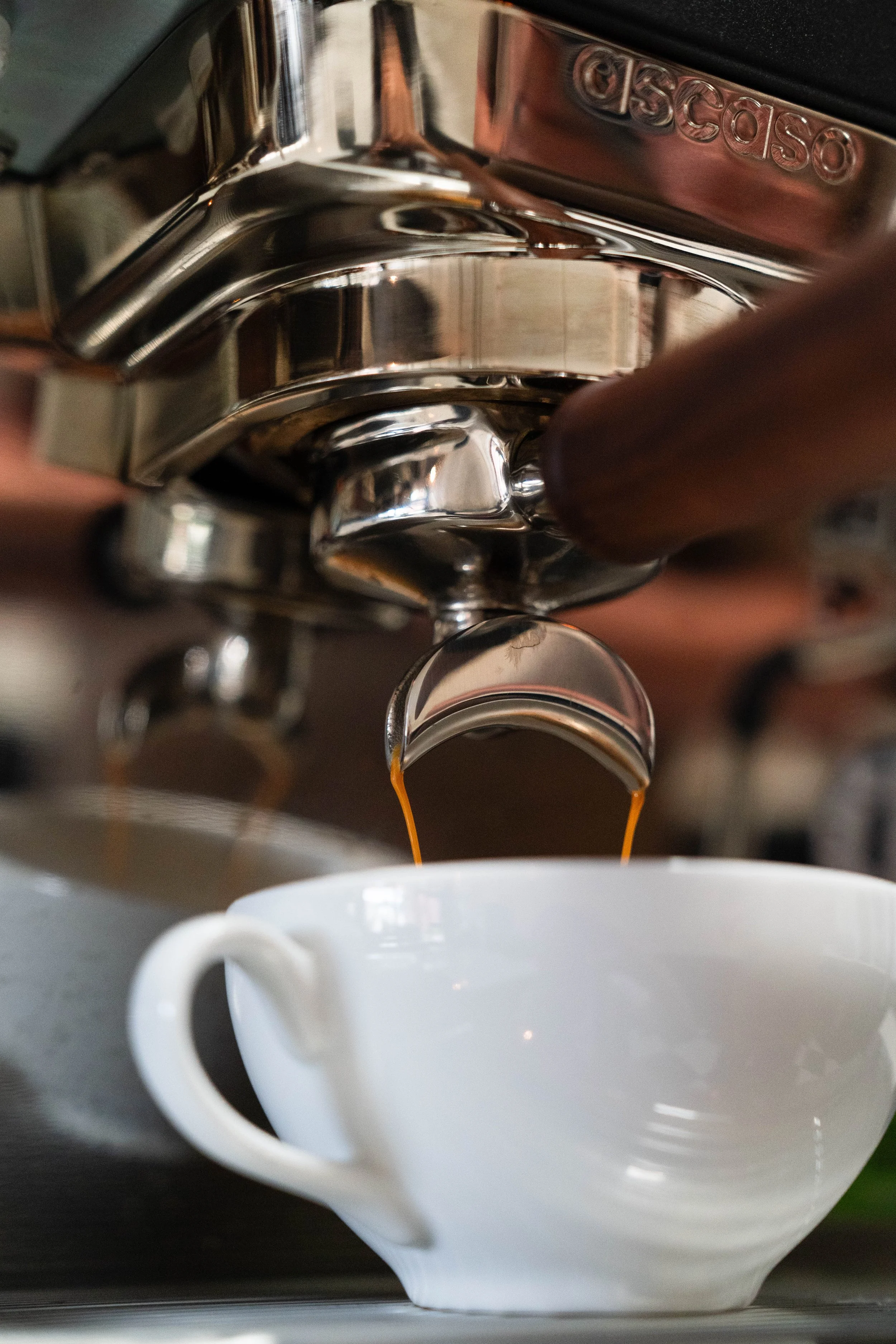 Coffee being brewed into a white mug from an espresso machine.