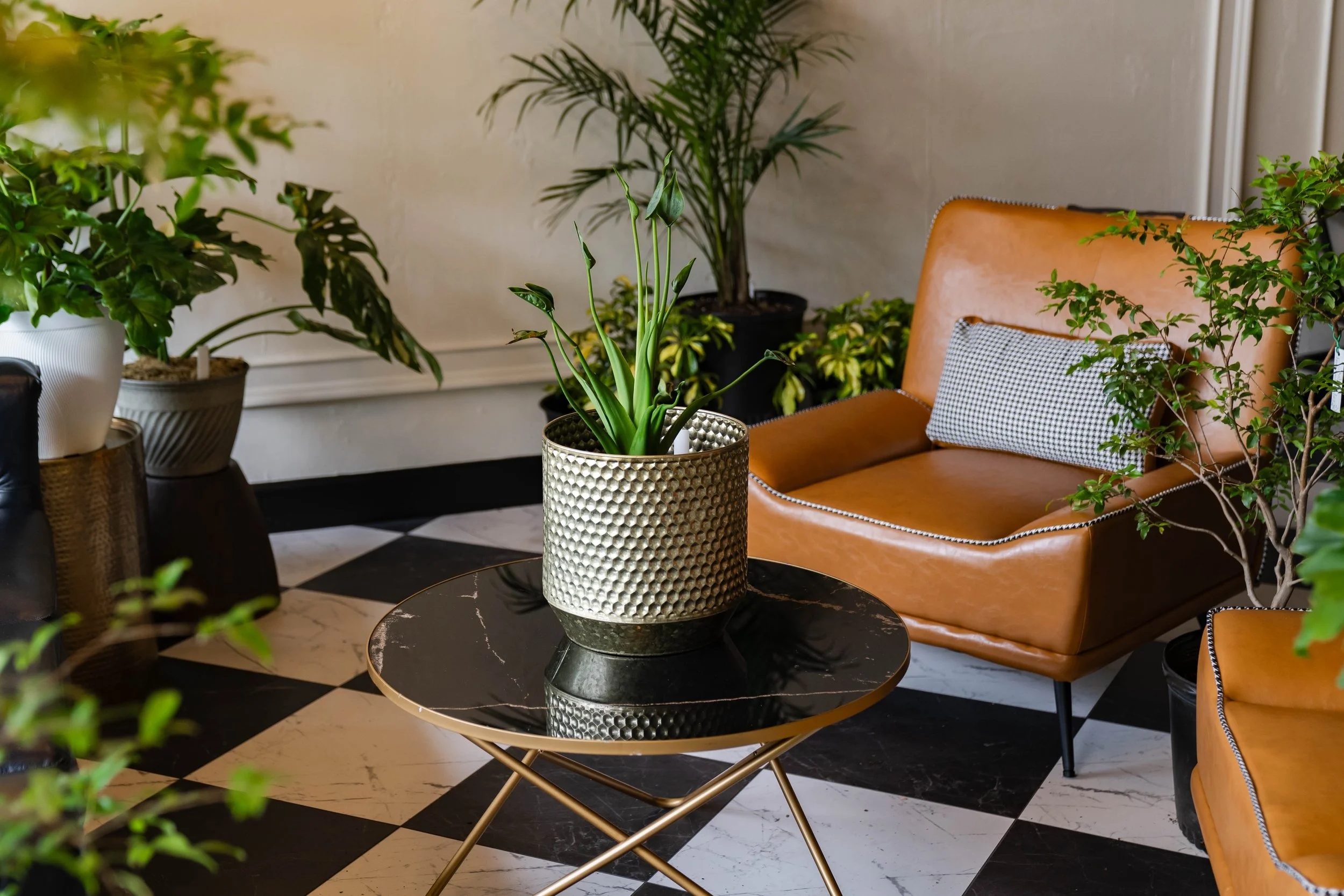 A room with a black and white checkered floor, multiple green potted plants, and a tan leather armchair with a patterned throw pillow, arranged around a round black marble table.