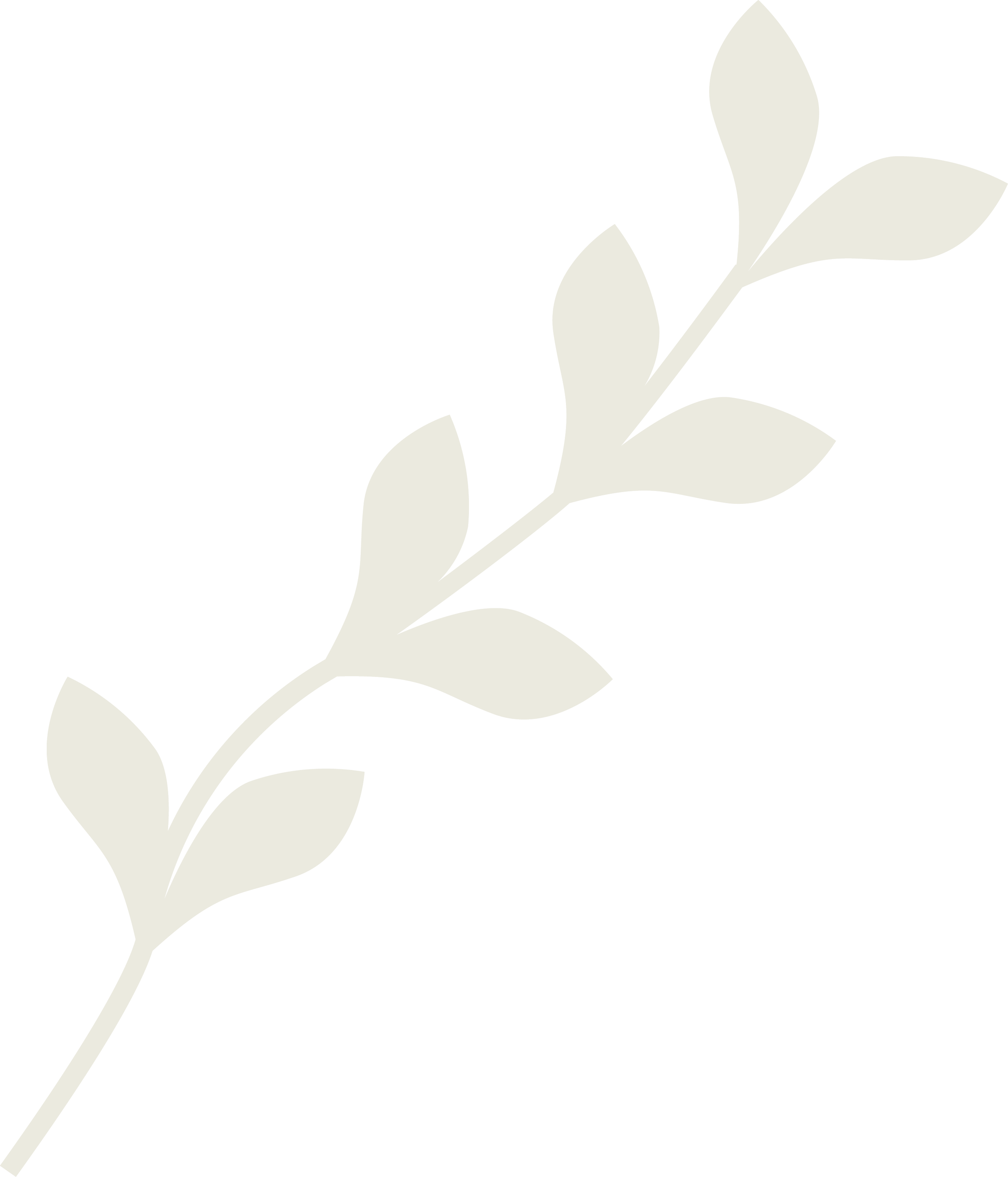 A minimalist illustration of a flower with a long stem, several leaves, and a flower bud at the top, in shades of cream and black.