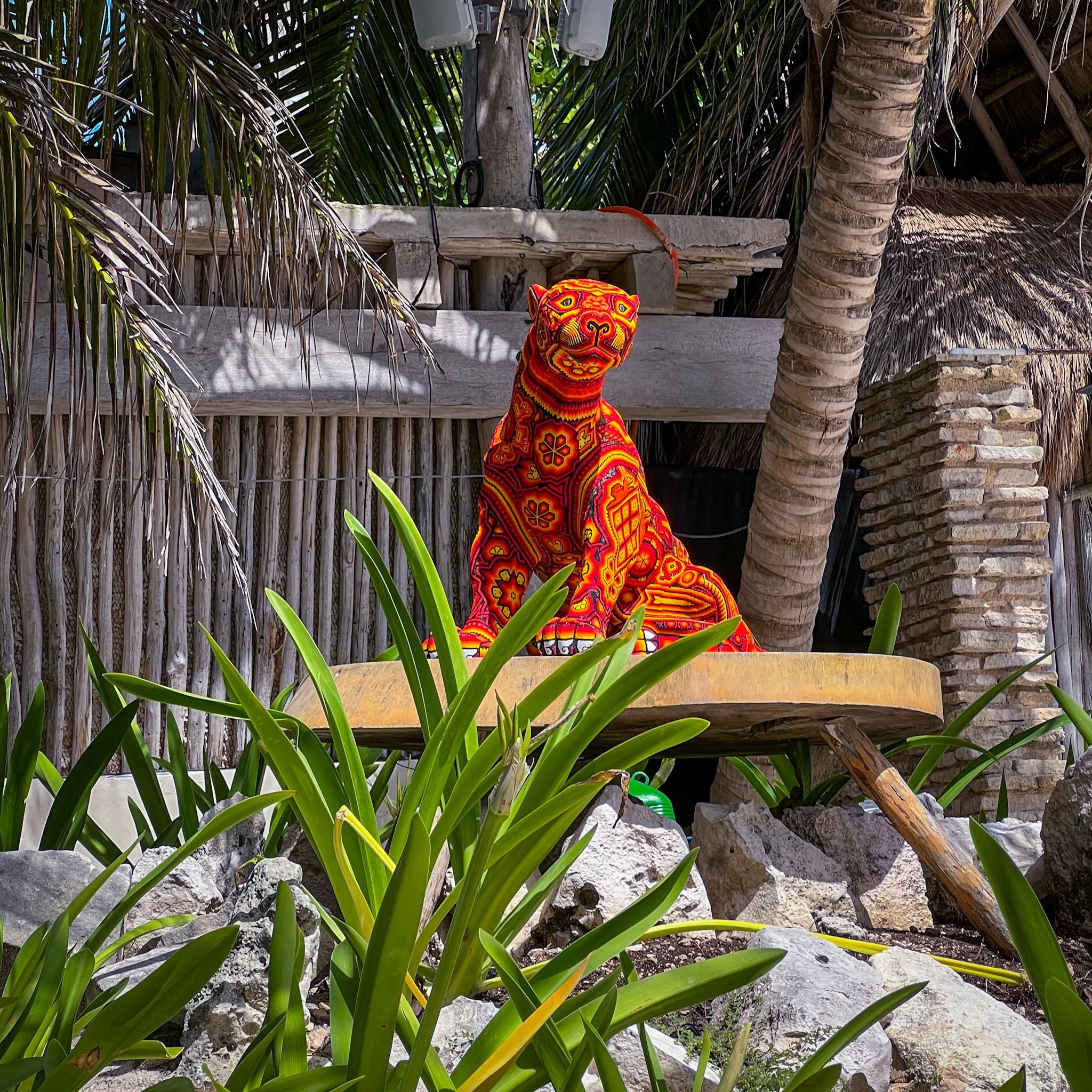 UGC Travel Creators