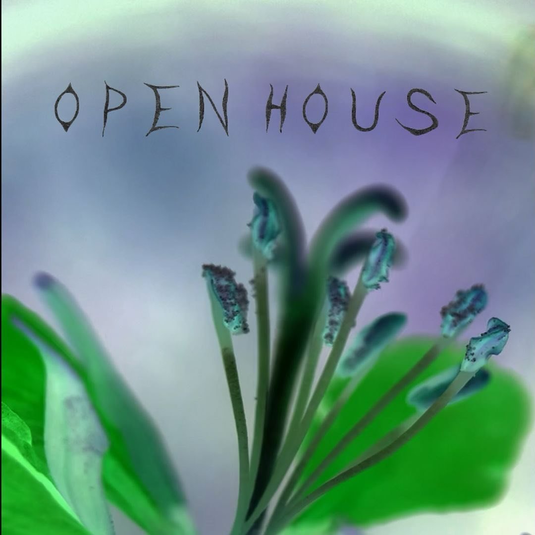 ｏｐｅｎ ｈｏｕｓｅ

Come visit us at the Pandora Park Fieldhouse!

Sunday, 12 January (tomorrow!)
3PM - 6PM

Welcoming low-key drop-in&rsquo;s while we unpack and dream how to set up the space 🌱

#ecoprocessing