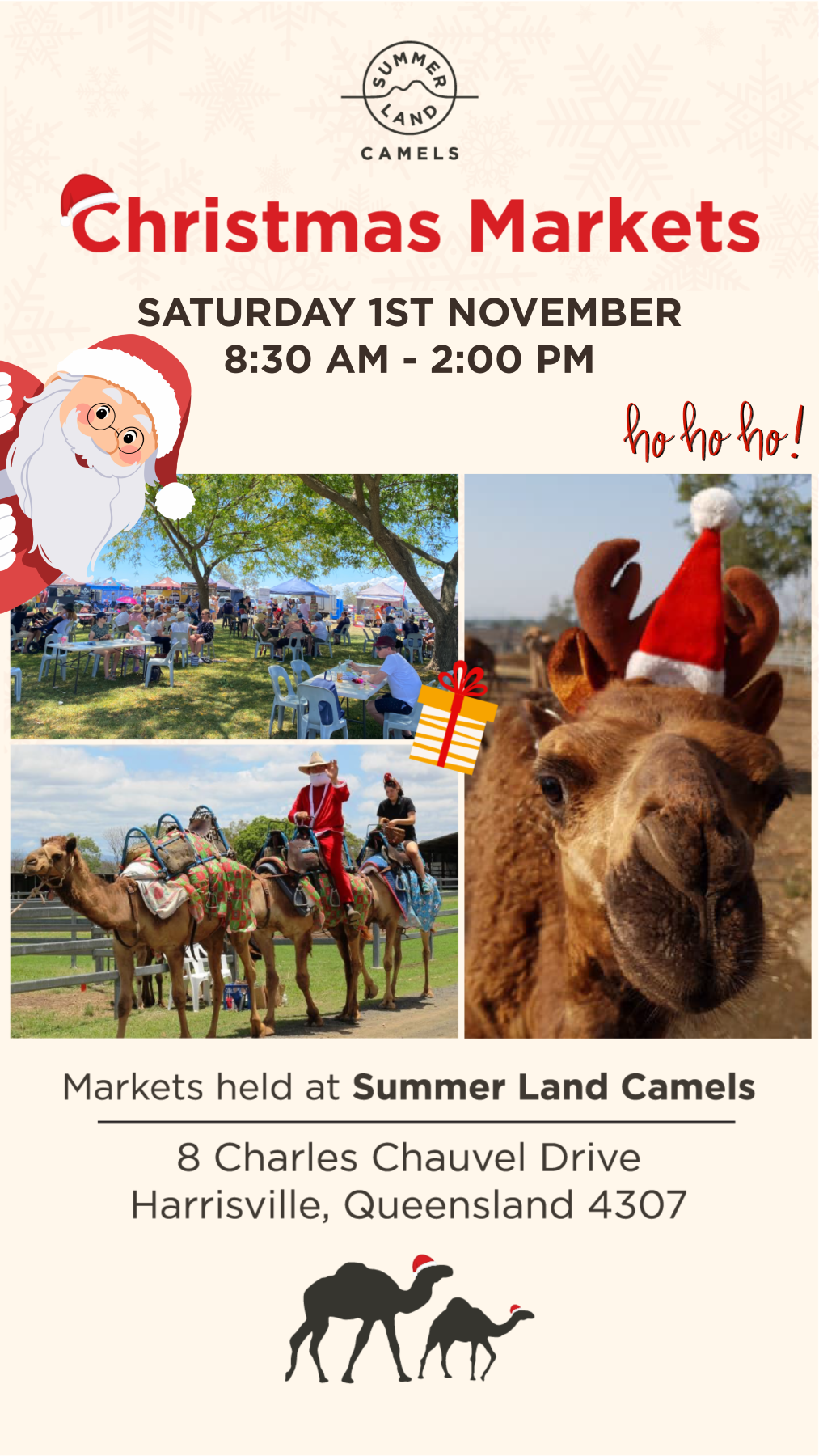Summerland Camels Christmas Market