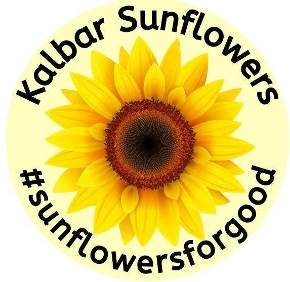 Kalbar Sunflower Festival 