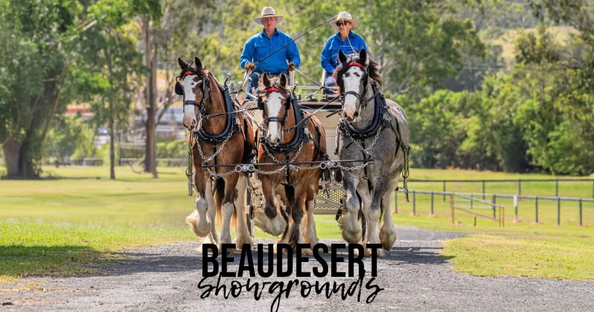 Scenic Rim Clydesdale Spectacular