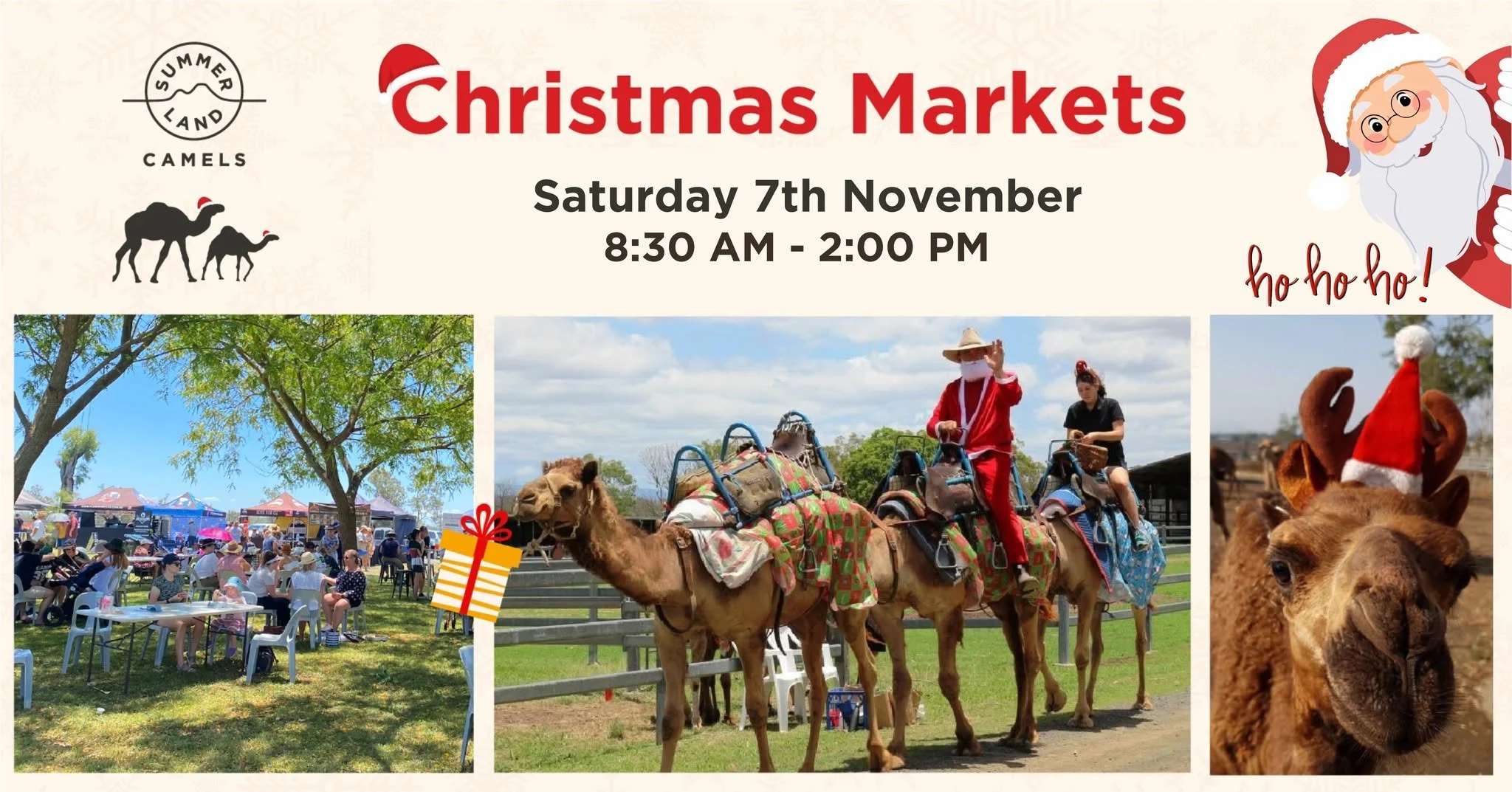 Christmas Markets at Summer Land Camels 