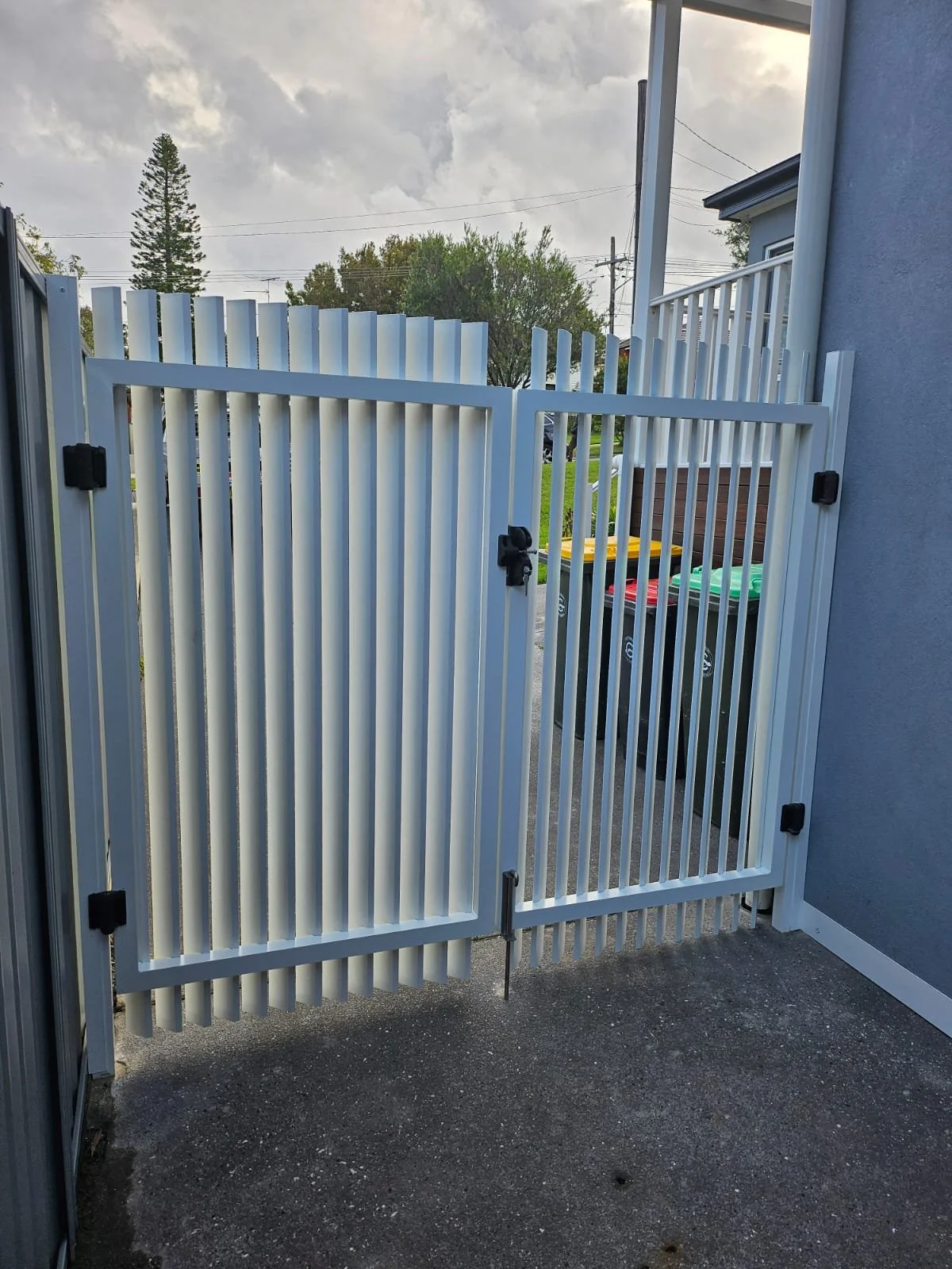 WhatsApp Image 2024-10-15 at 3.26.26 PM.jpeg