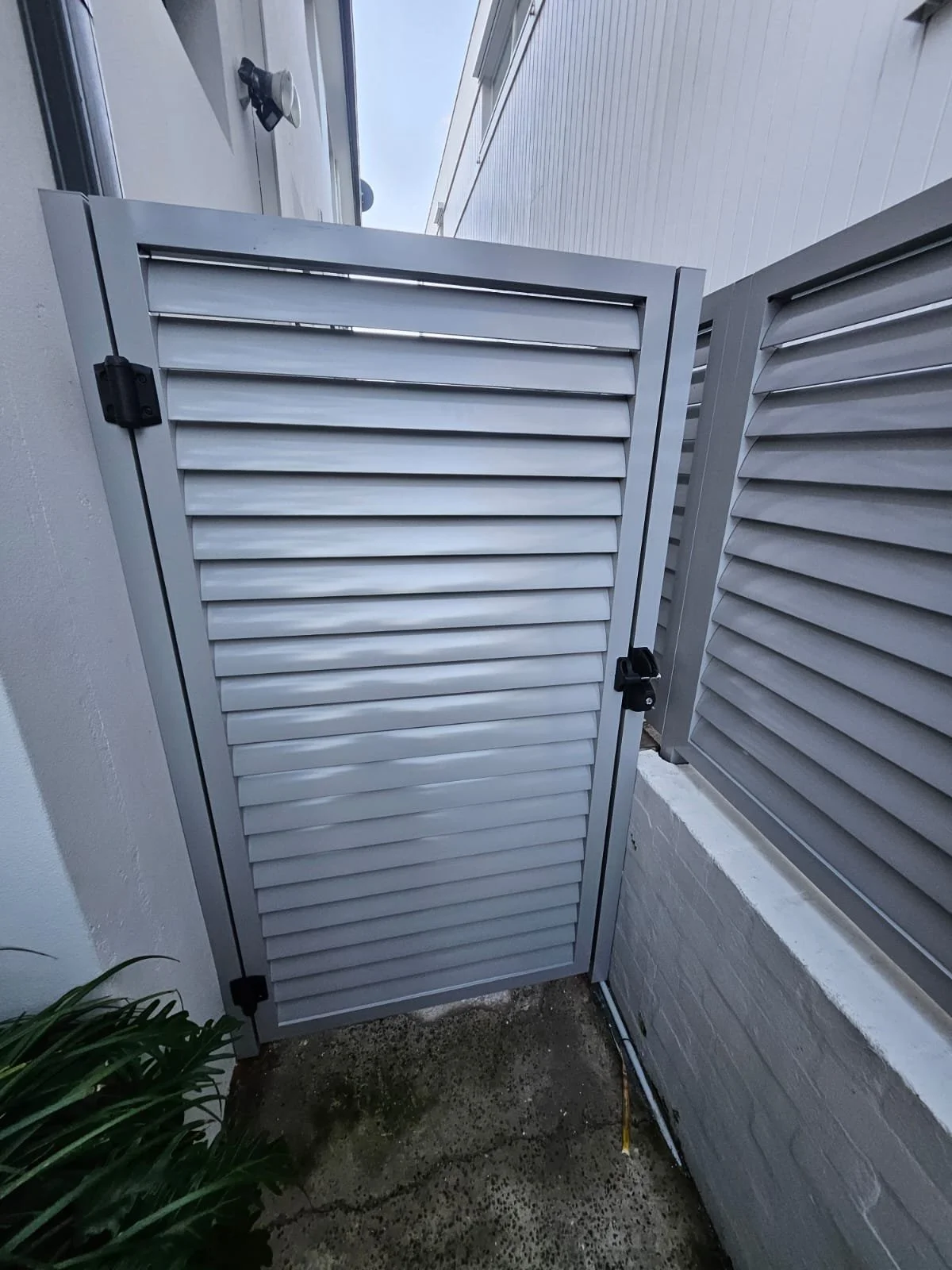 WhatsApp Image 2024-10-15 at 3.26.24 PM (1).jpeg