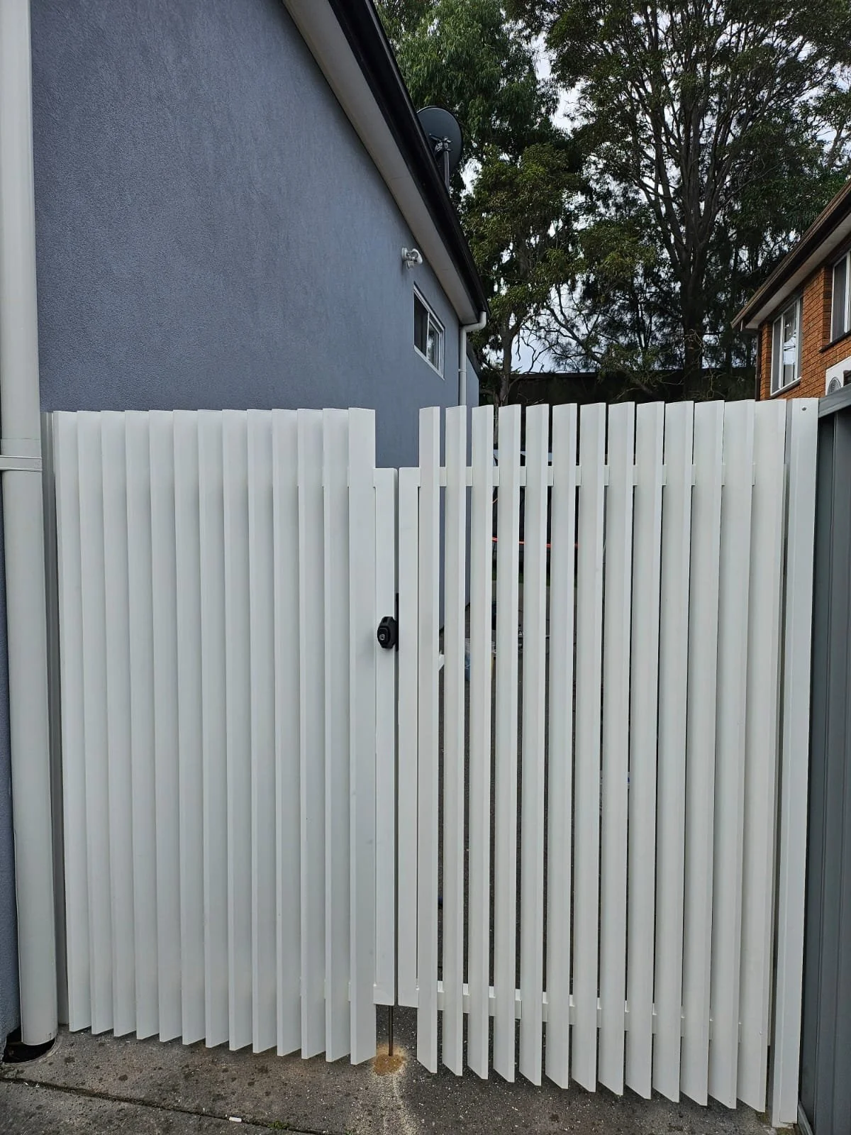 WhatsApp Image 2024-10-15 at 3.26.25 PM (2).jpeg