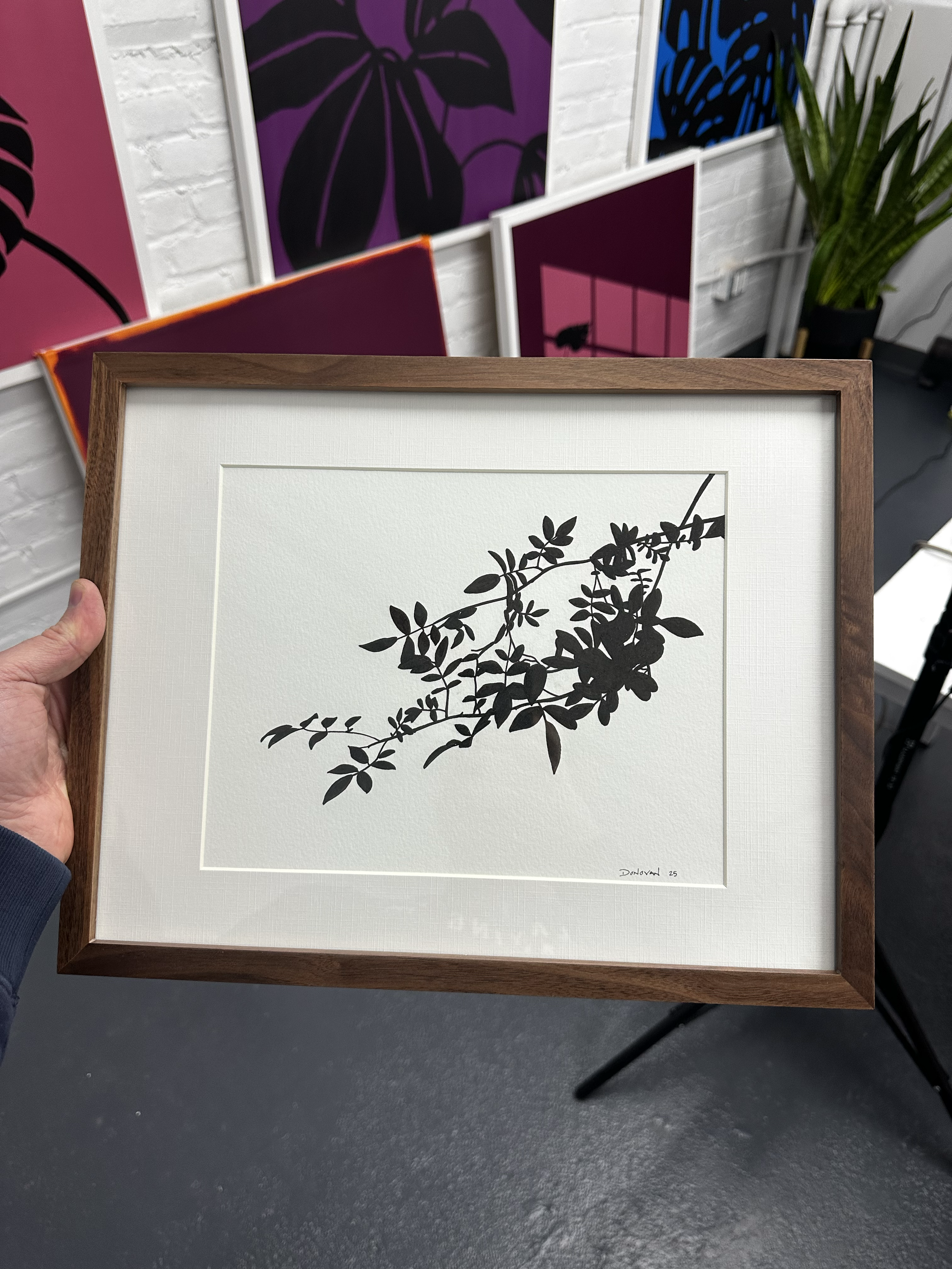 branches.png