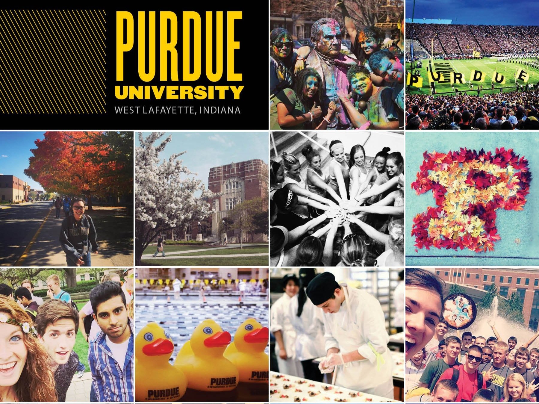 VIEWBOOK - PURDUE UNIVERSITY